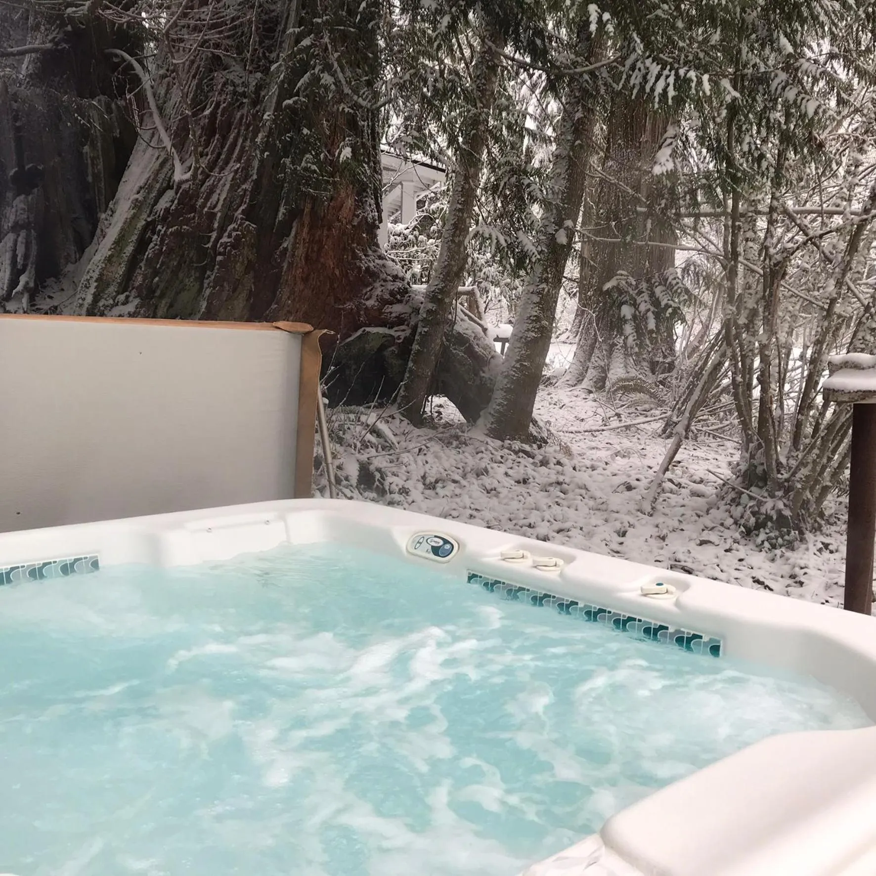 Hot Tub in Mountain Meadows Inn & Chalet Suites