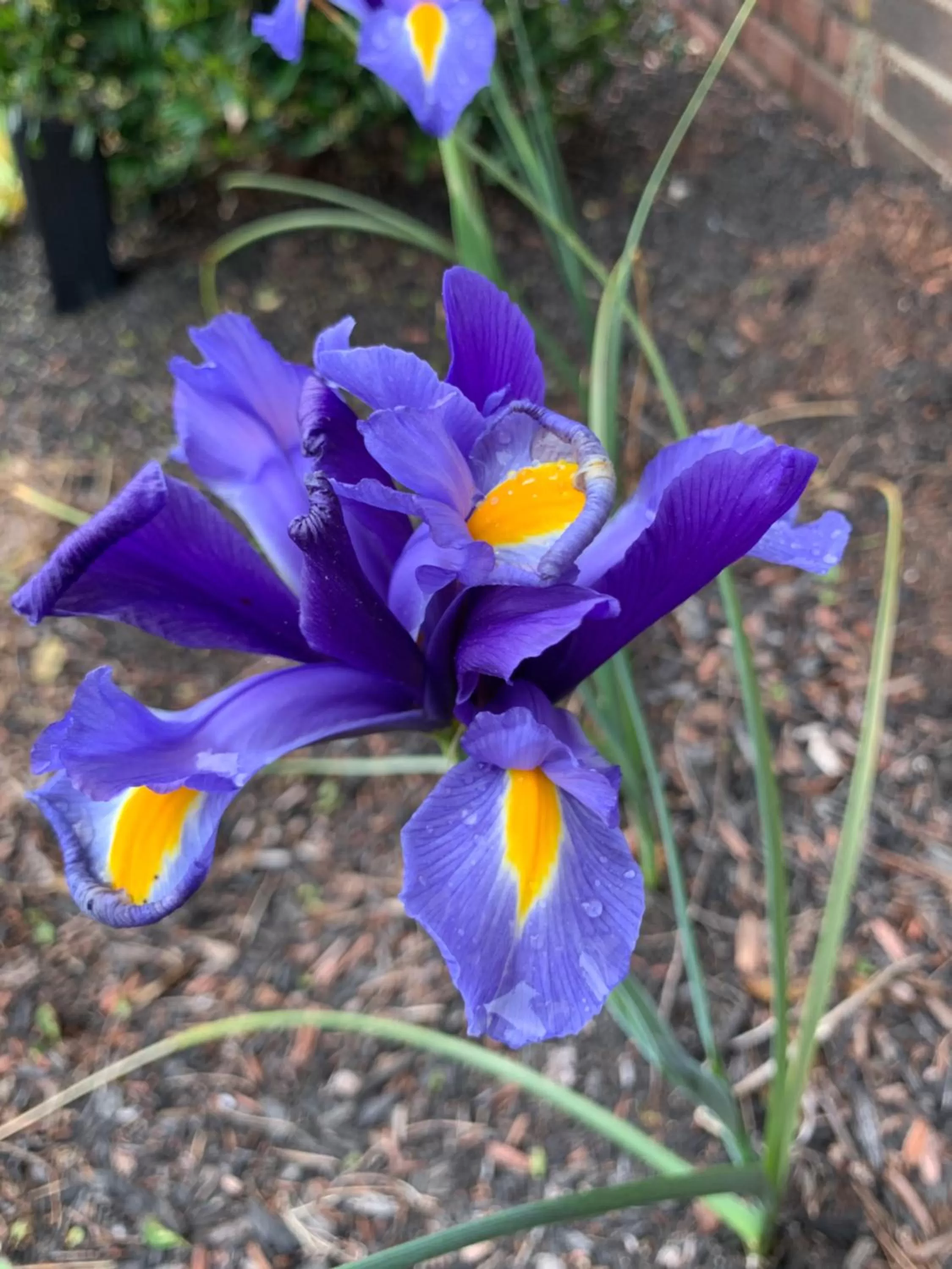 Super 8 by Wyndham Sturbridge