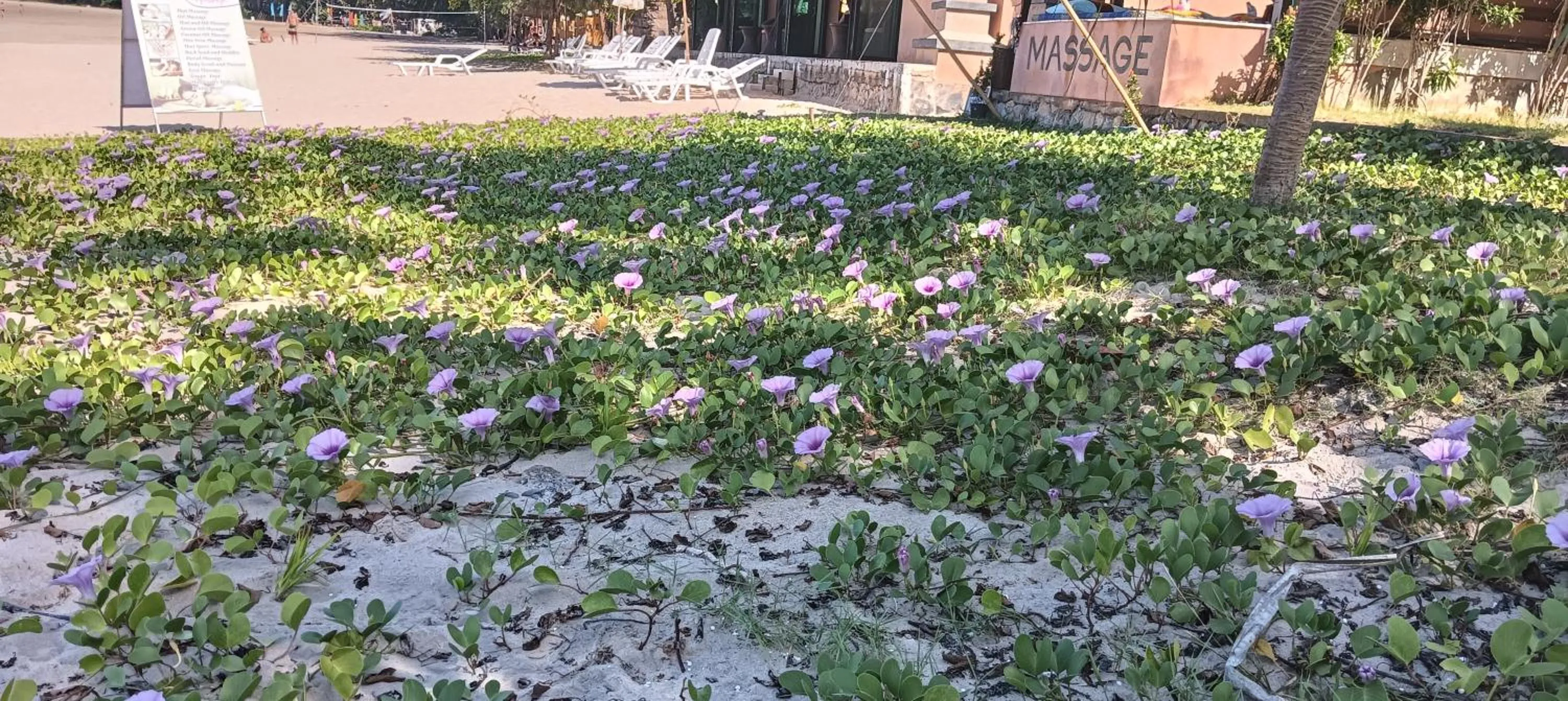 Beach in Lanta Summer House 1