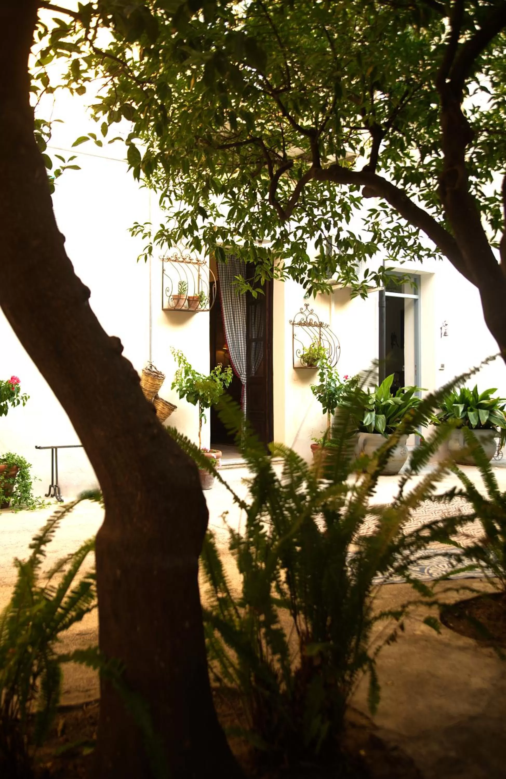 Property building in B&B del Giglio