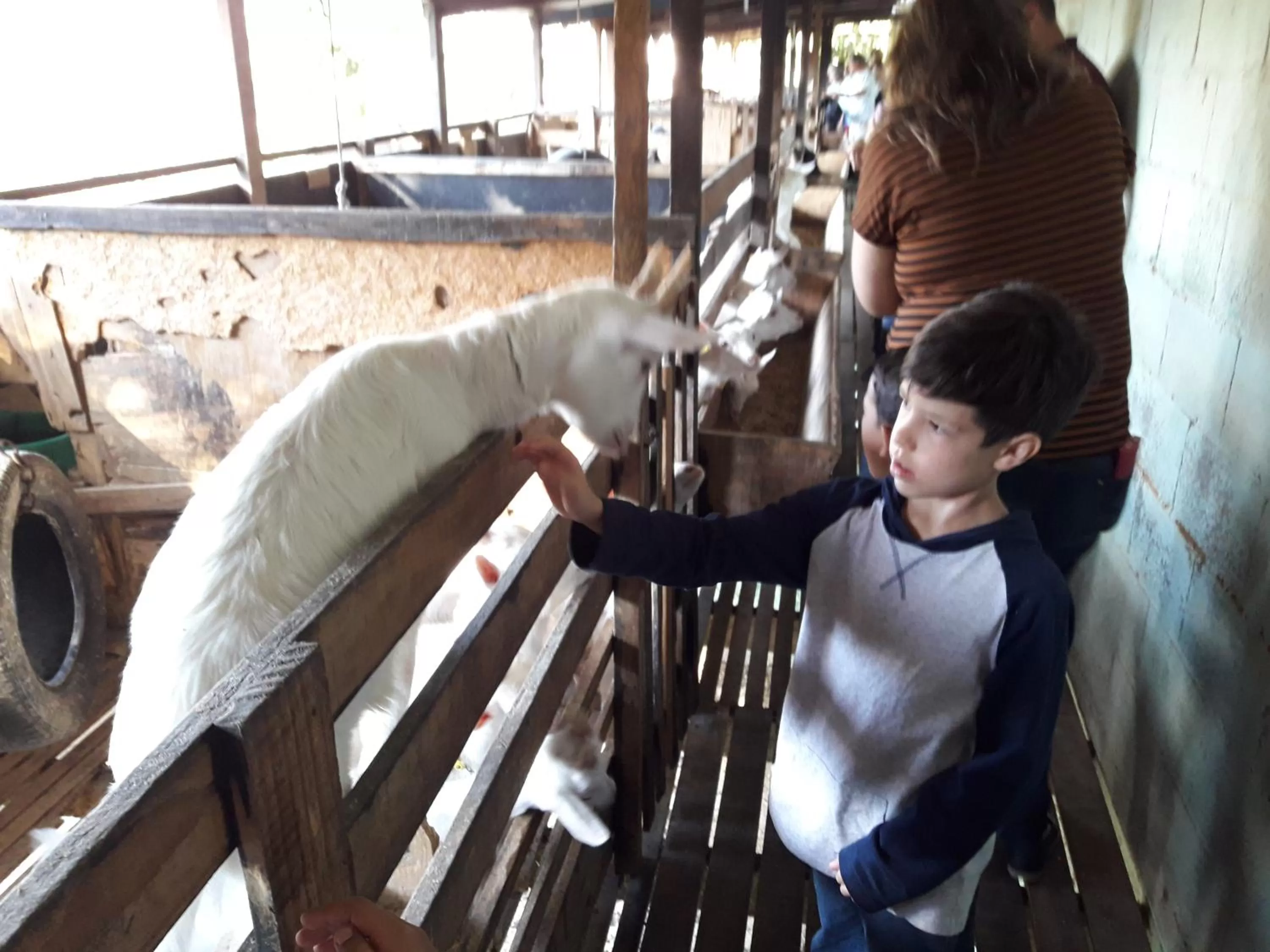 Property building in Lagoa Seca Hotel Rural