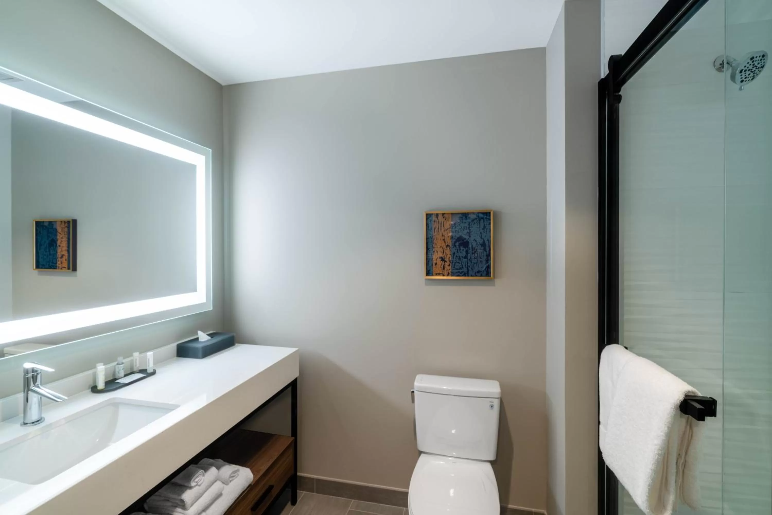 Bathroom in La Quinta Inn & Suites by Wyndham Nashville Downtown Stadium