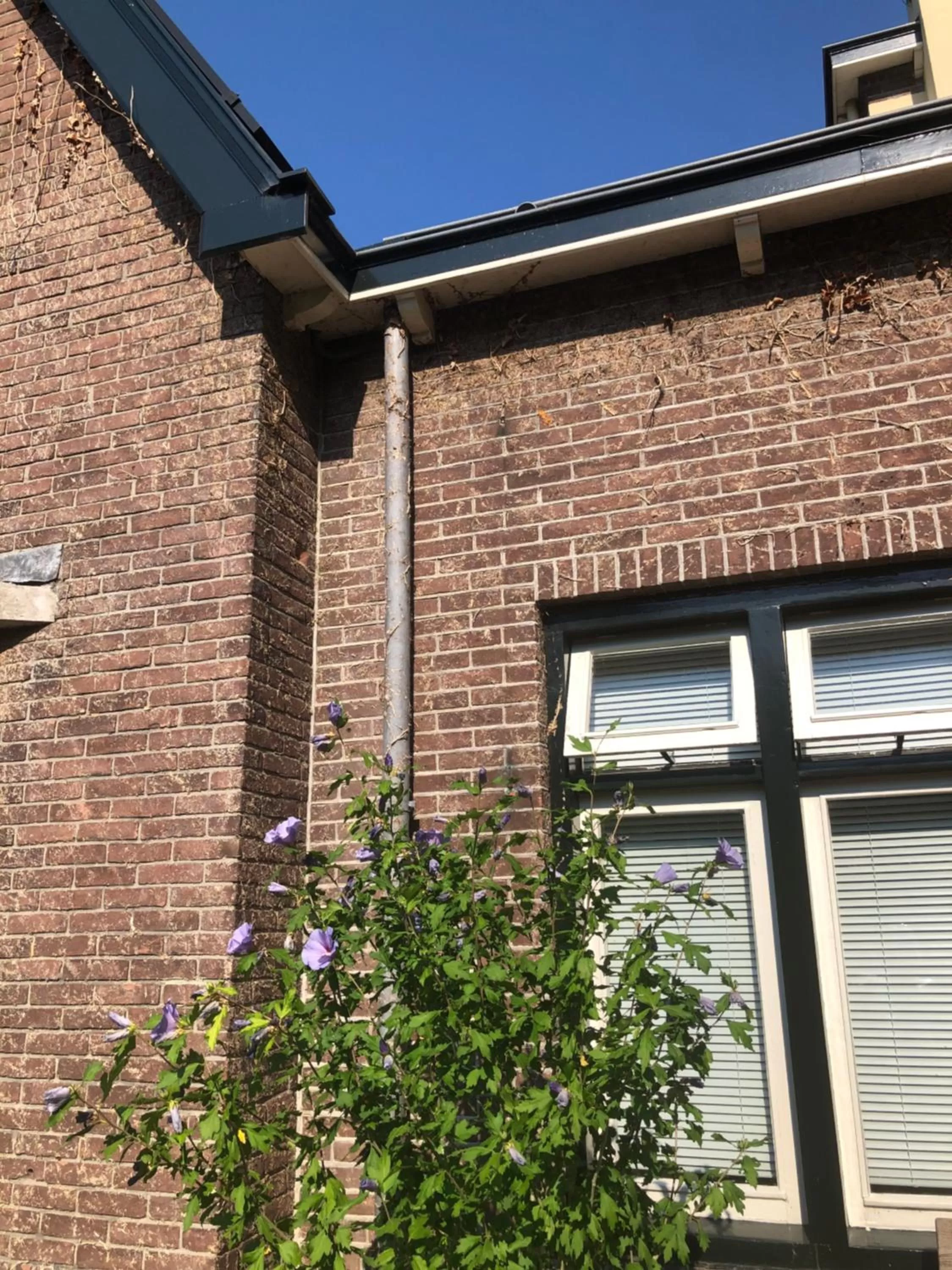 Property building in Het Doktershuys