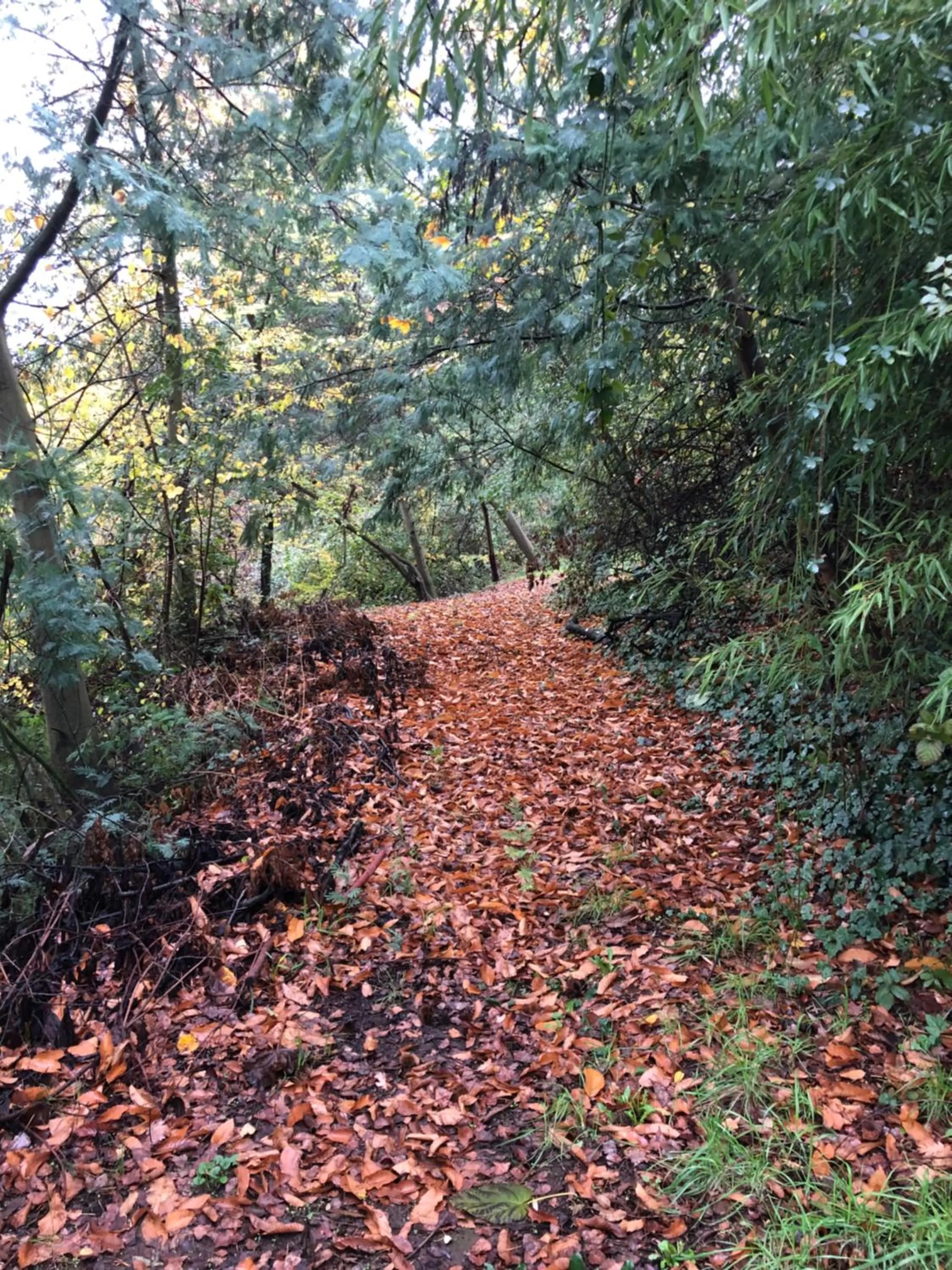 Family Orchard Bed & Breakfast