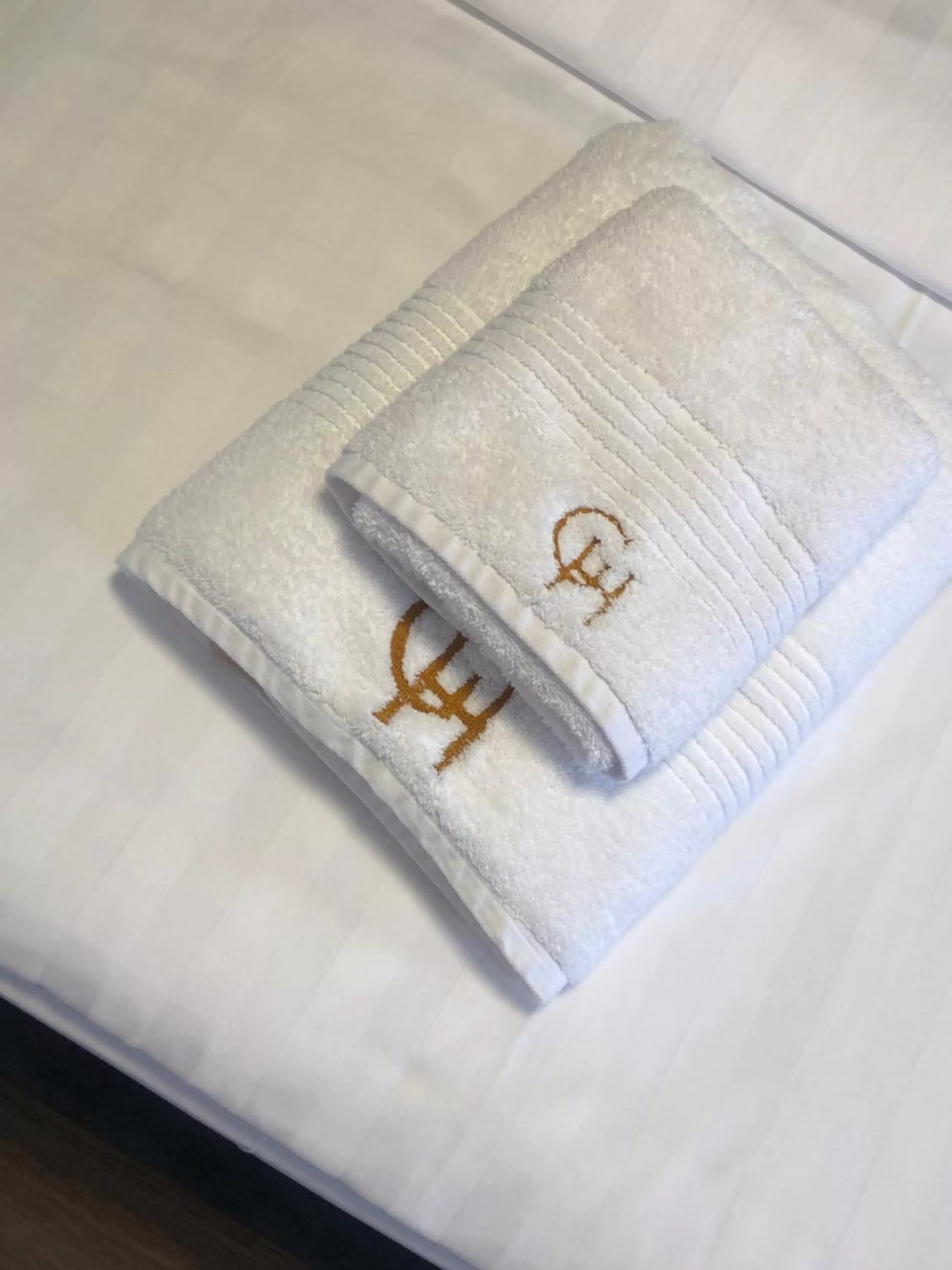 Property logo or sign in Grand Hotel Pogradec