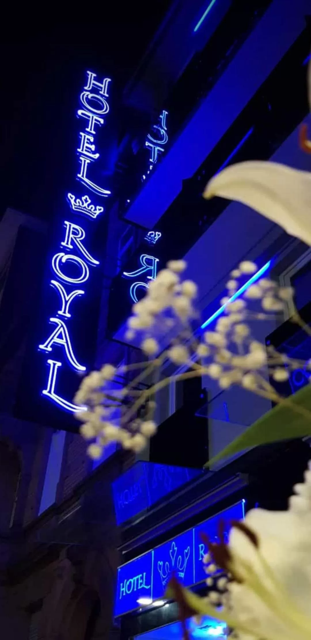 Property building in Hotel Royal