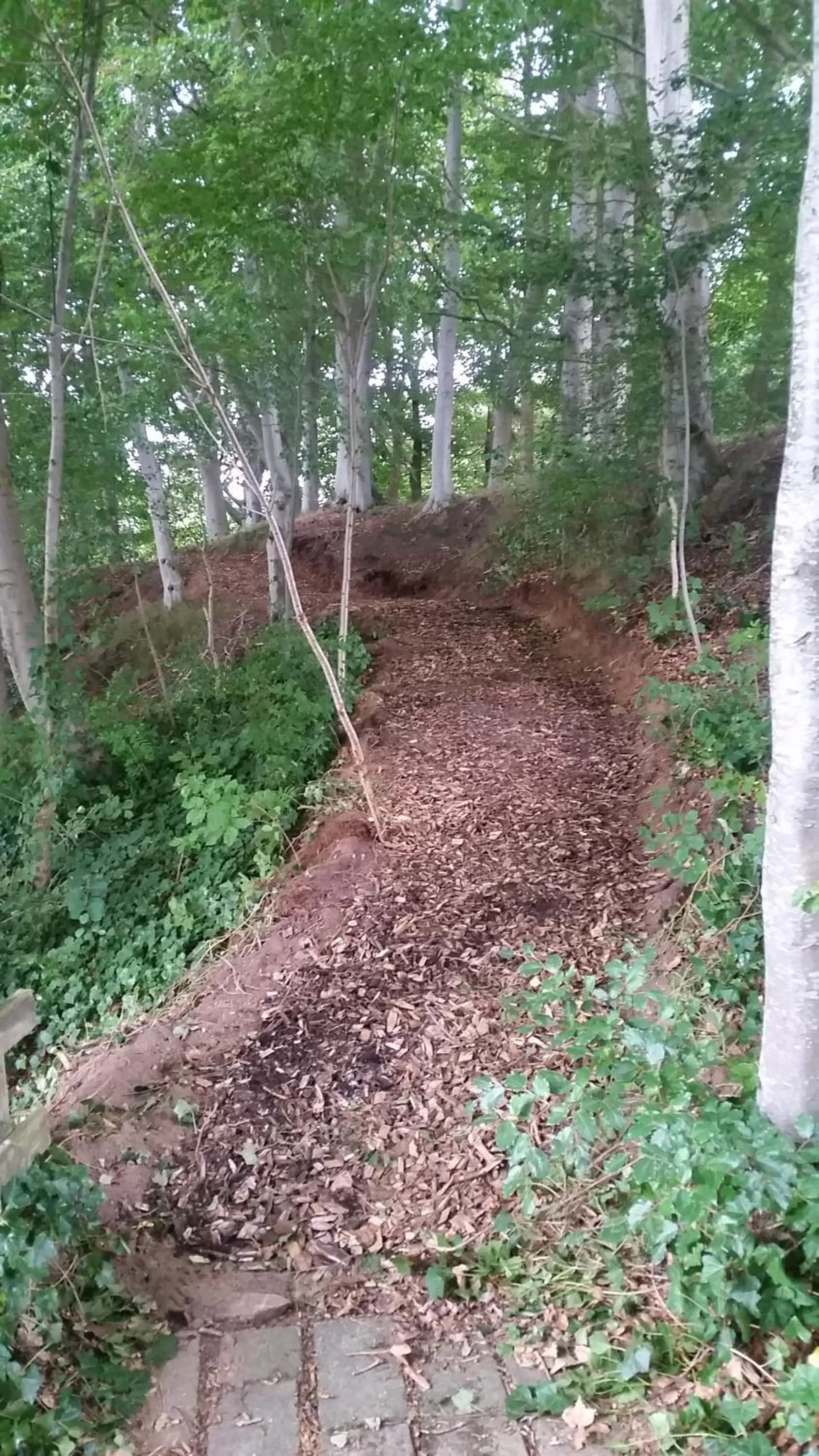Natural landscape in Gørdinglund Herregård Bed & Breakfast