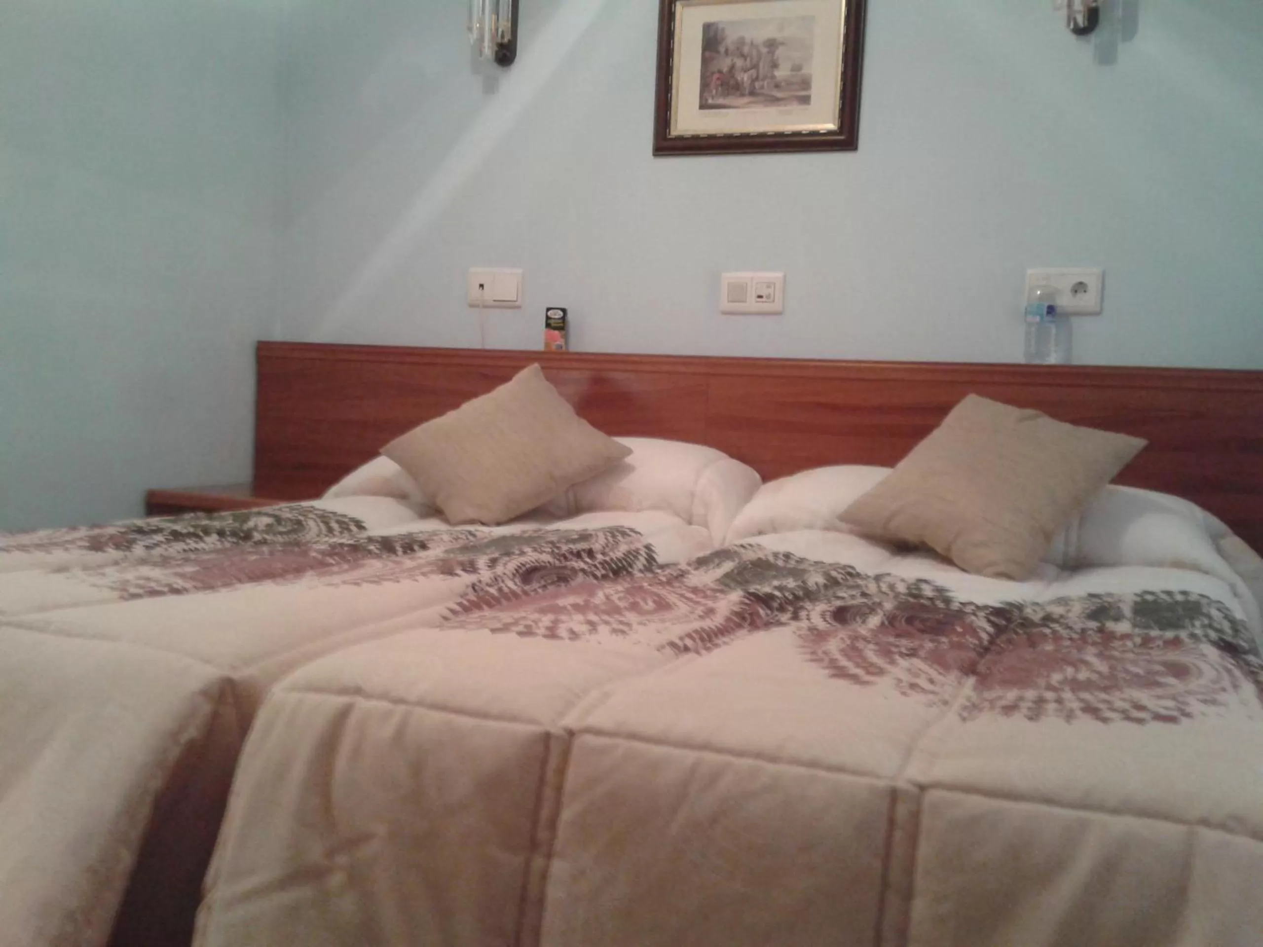 Bed in Hostal Campus