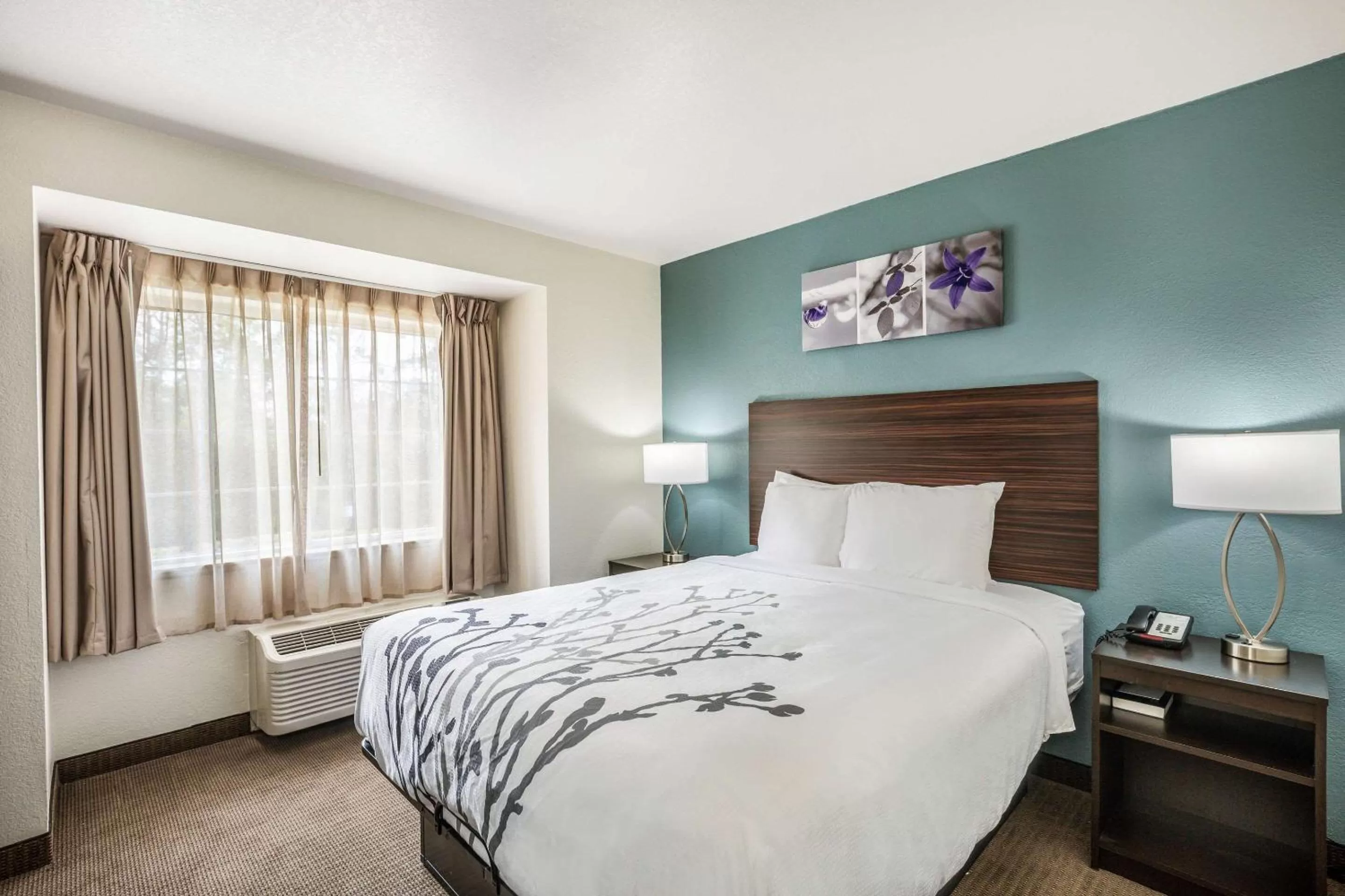 Photo of the whole room, Bed in Sleep Inn & Suites Tallahassee-Capitol