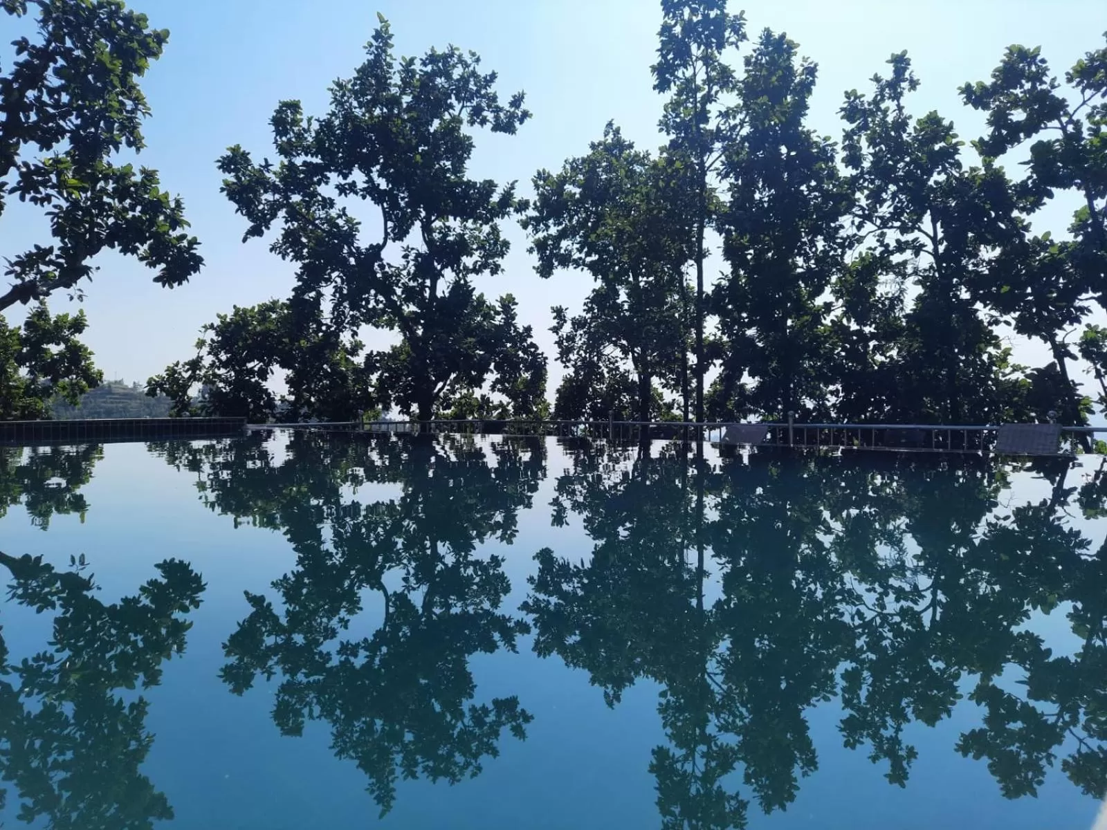 Swimming pool in Blue Pine Orchards