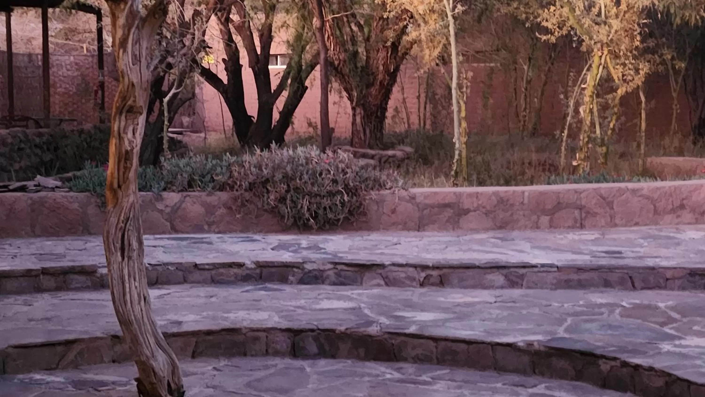 Garden view in Hotel Tulor