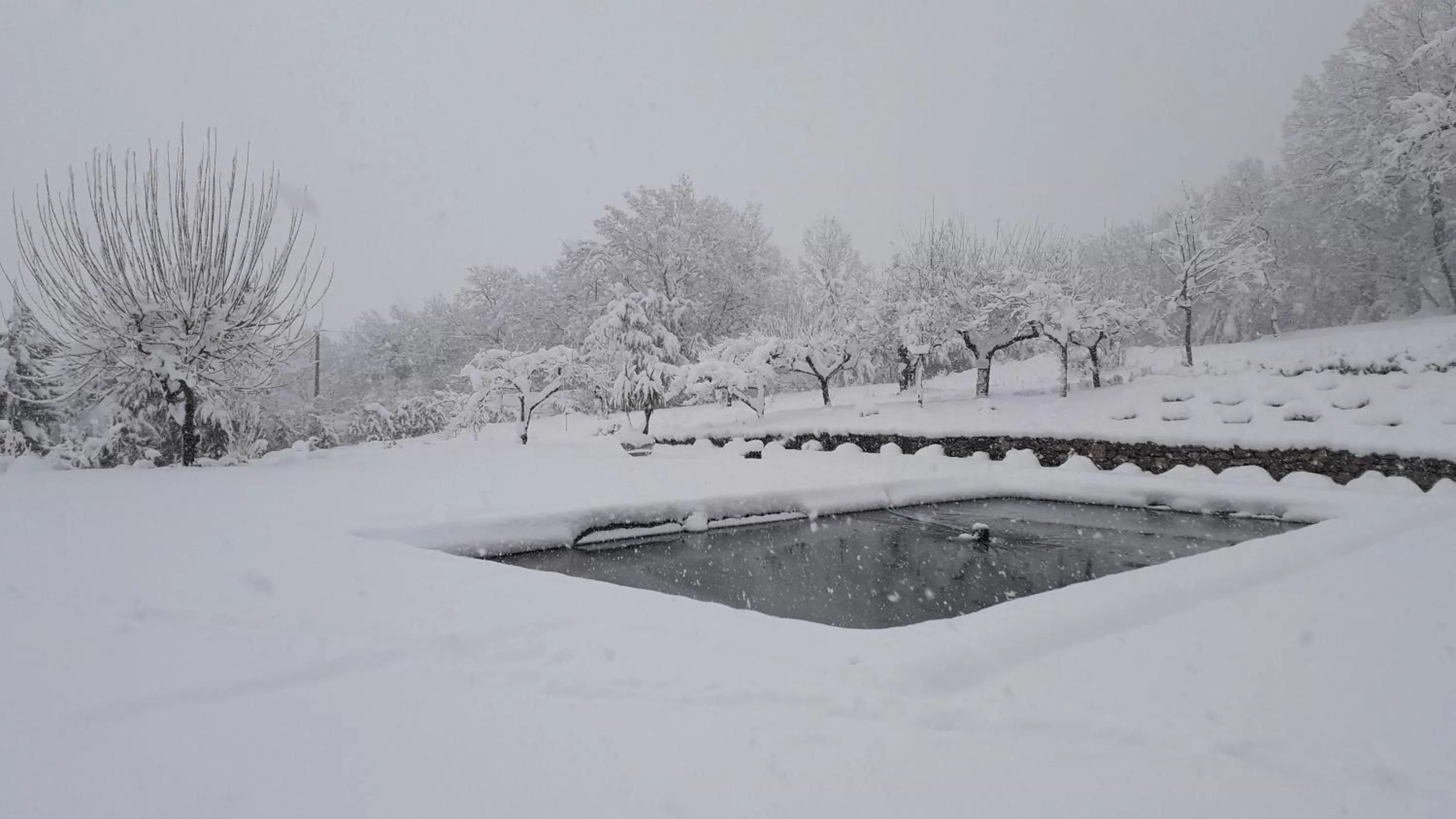 Masseria boutique b&b