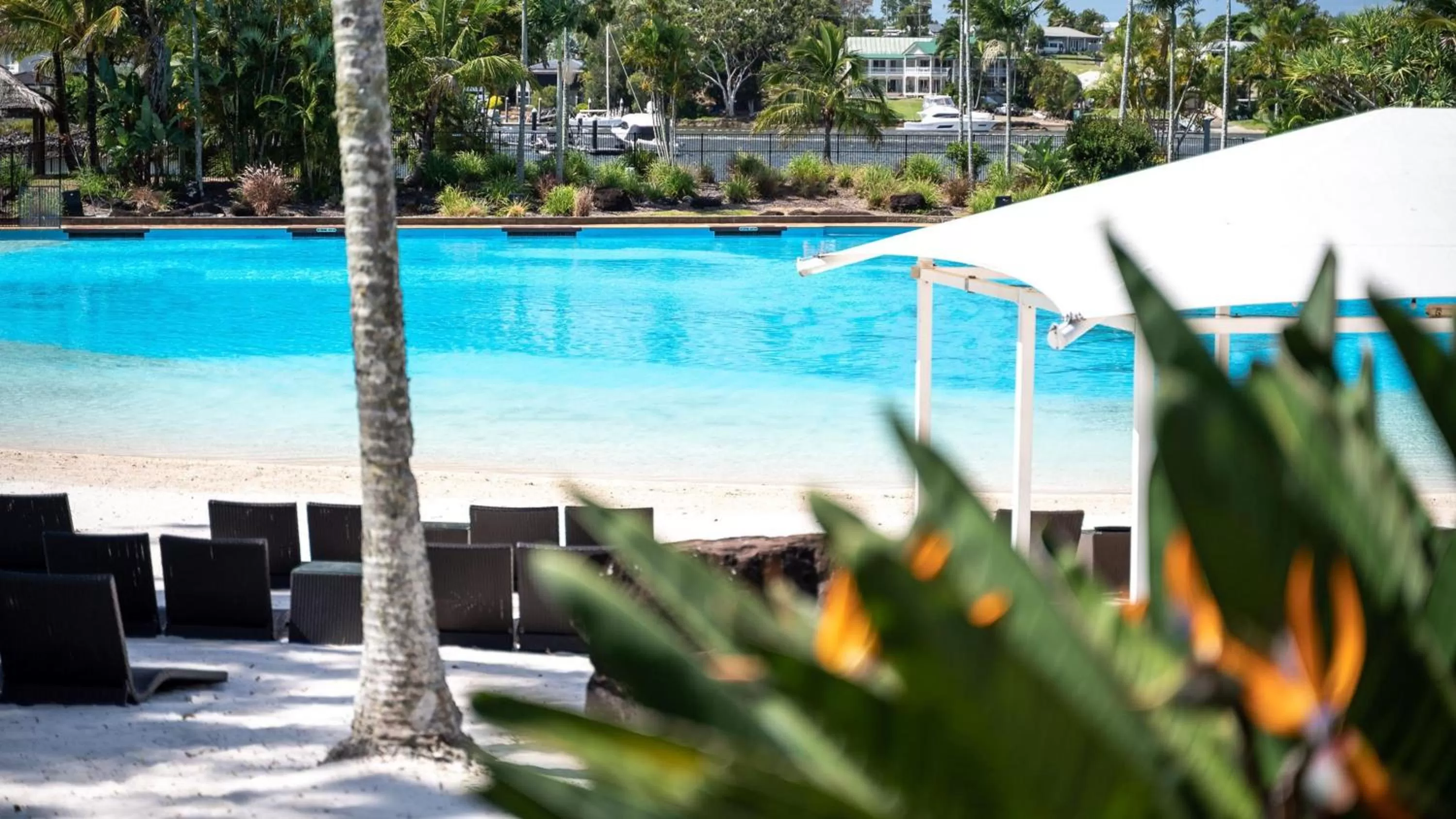 Swimming pool in InterContinental Sanctuary Cove Resort by IHG