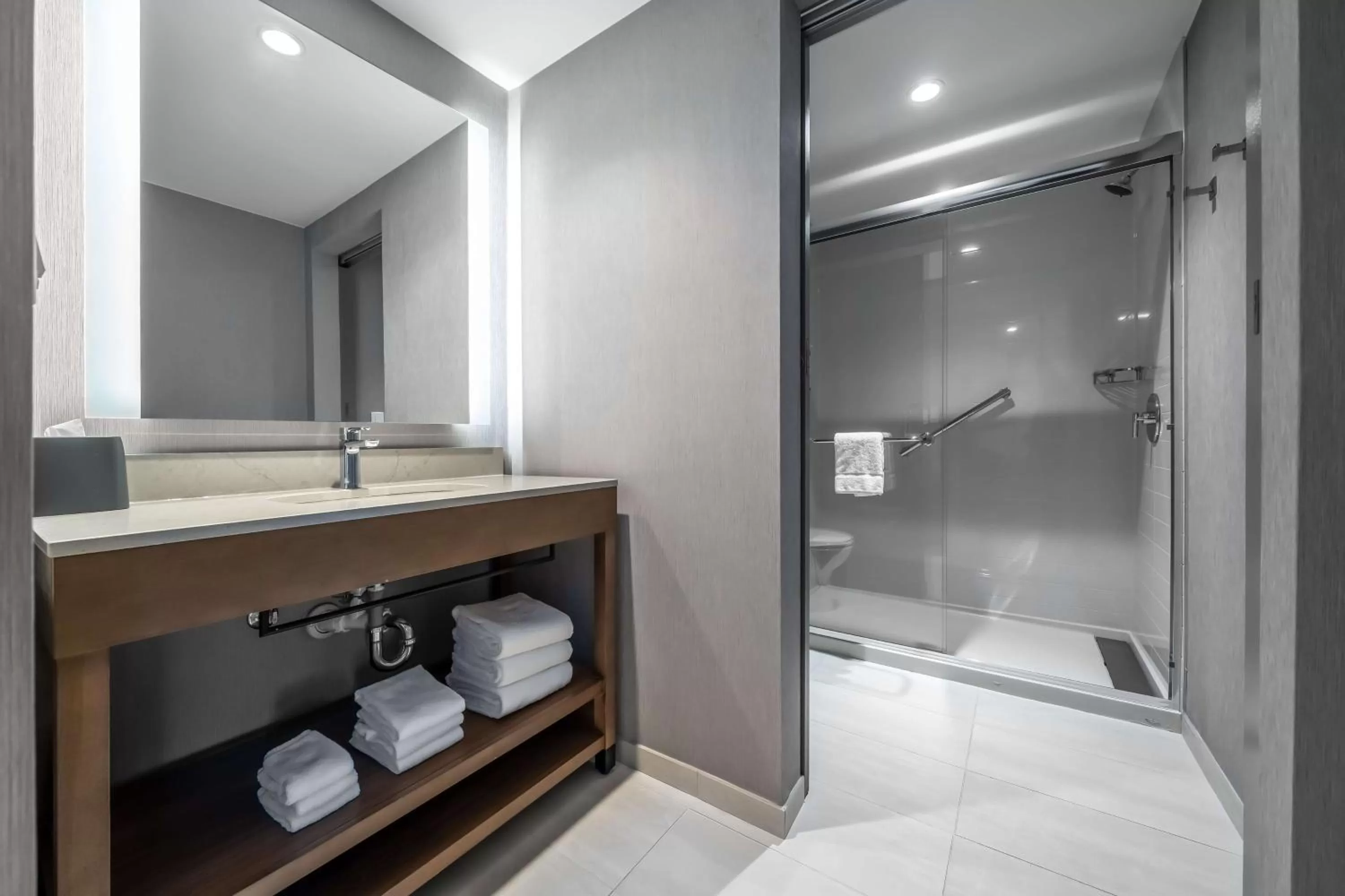 Bathroom in Hyatt Place Gainesville Downtown