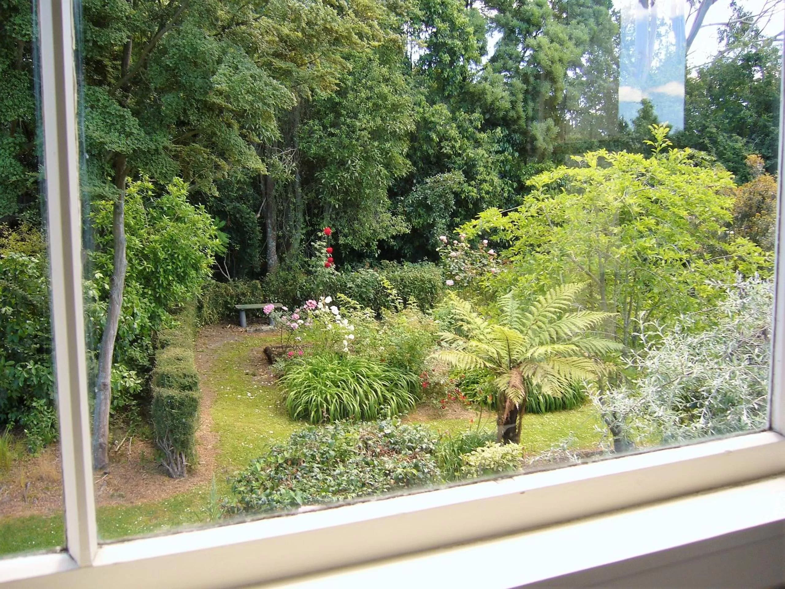 Summer in Forest Manor