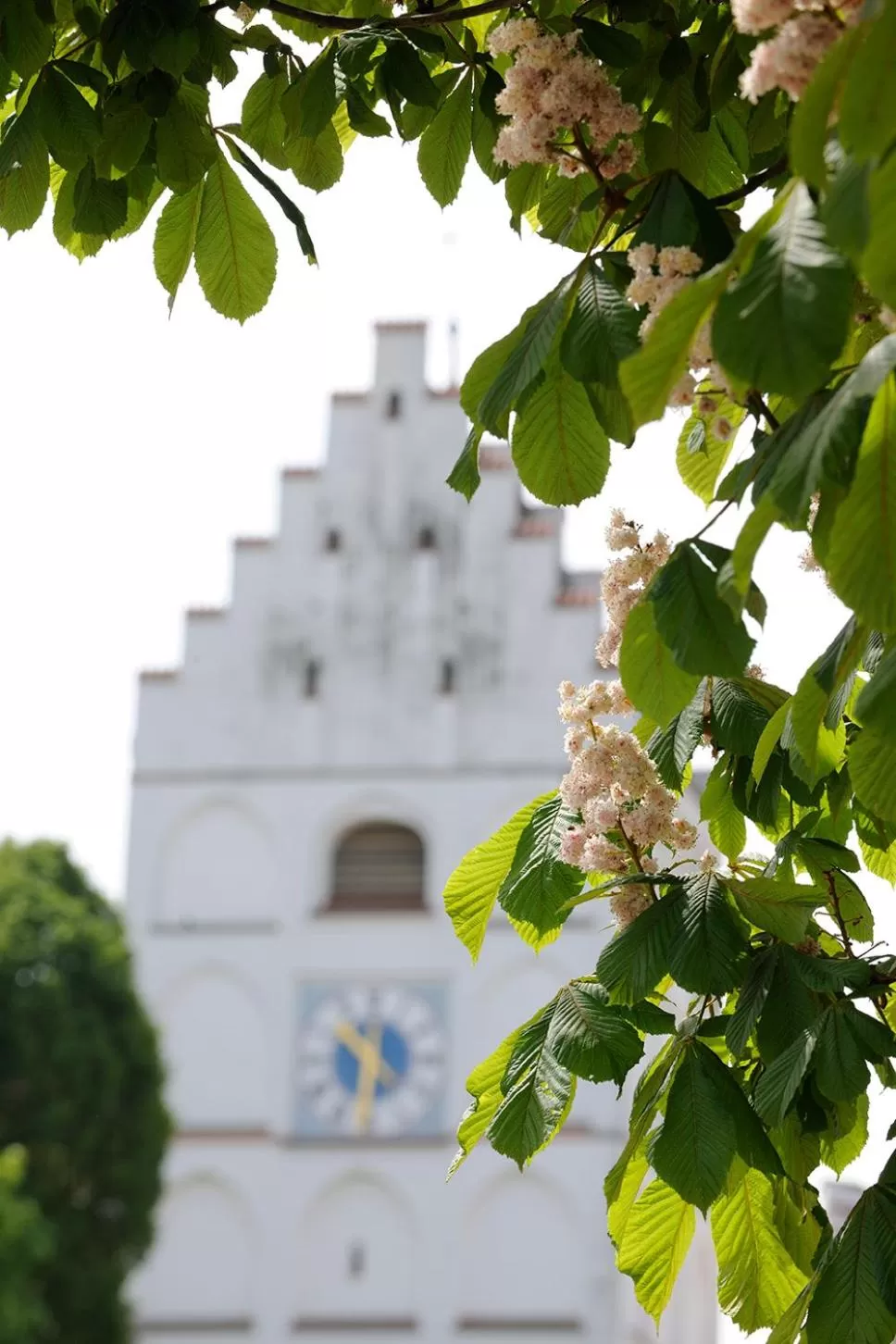Area and facilities in Landhotel Schlappinger-Hof