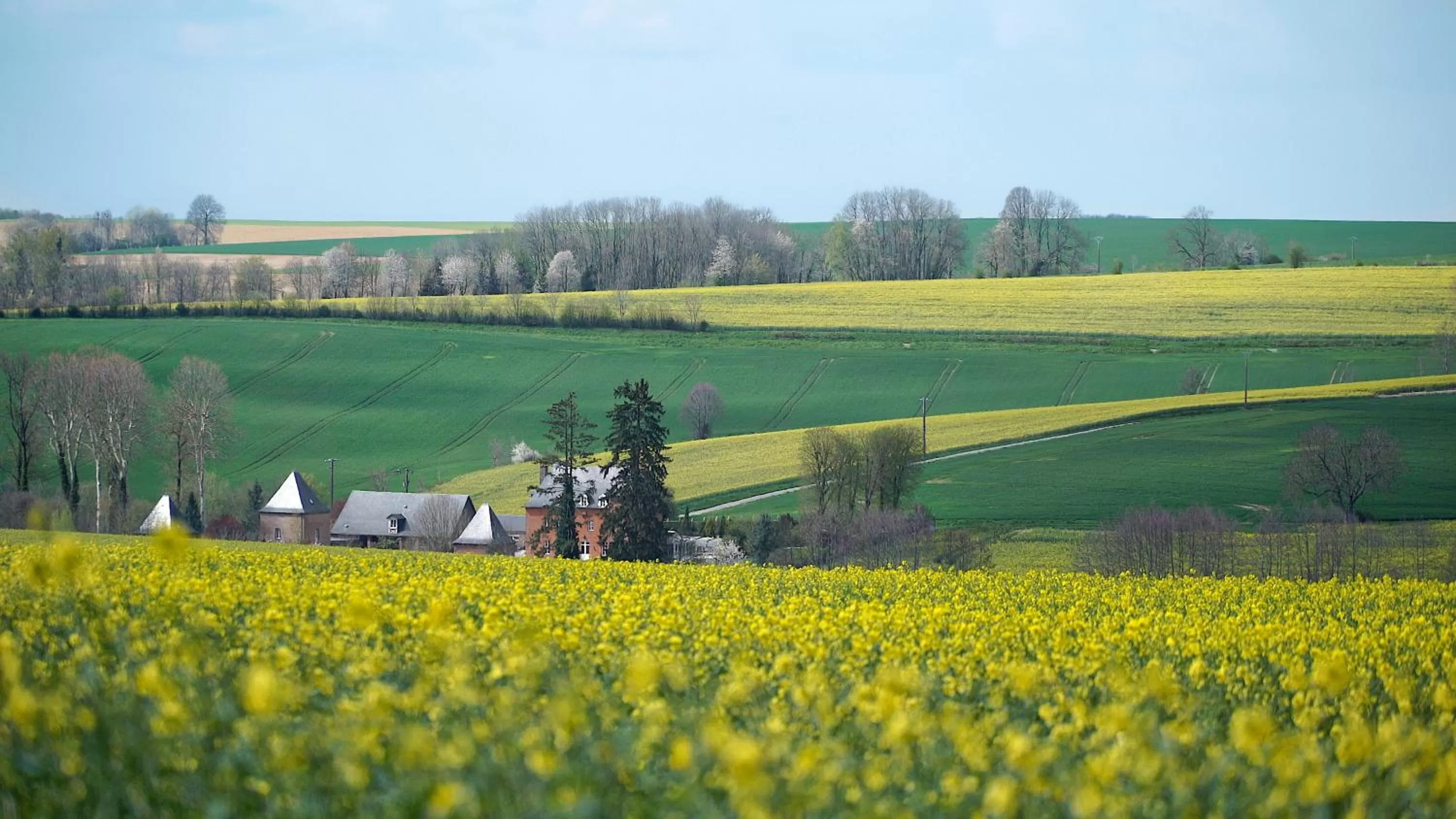 Natural landscape in Au Chapitre