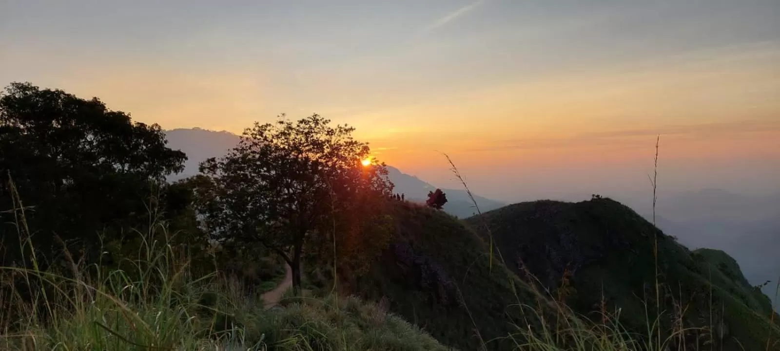 Ella Lucky Panoramic