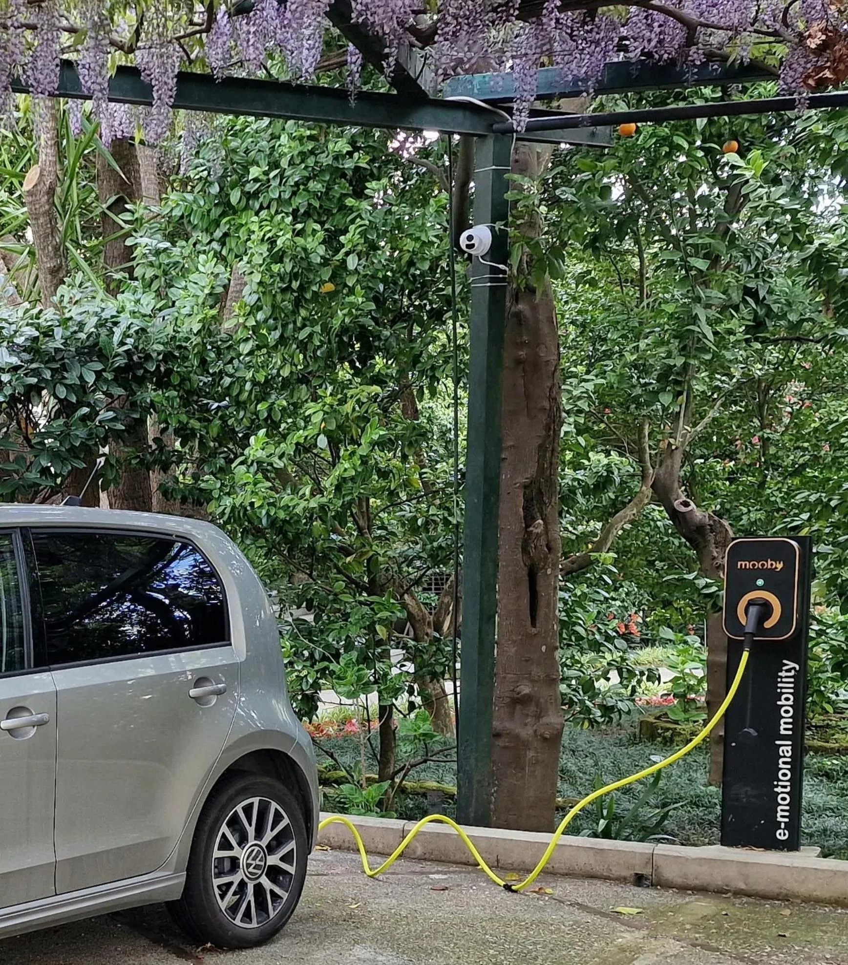 Garden view in Grand Hotel Cocumella