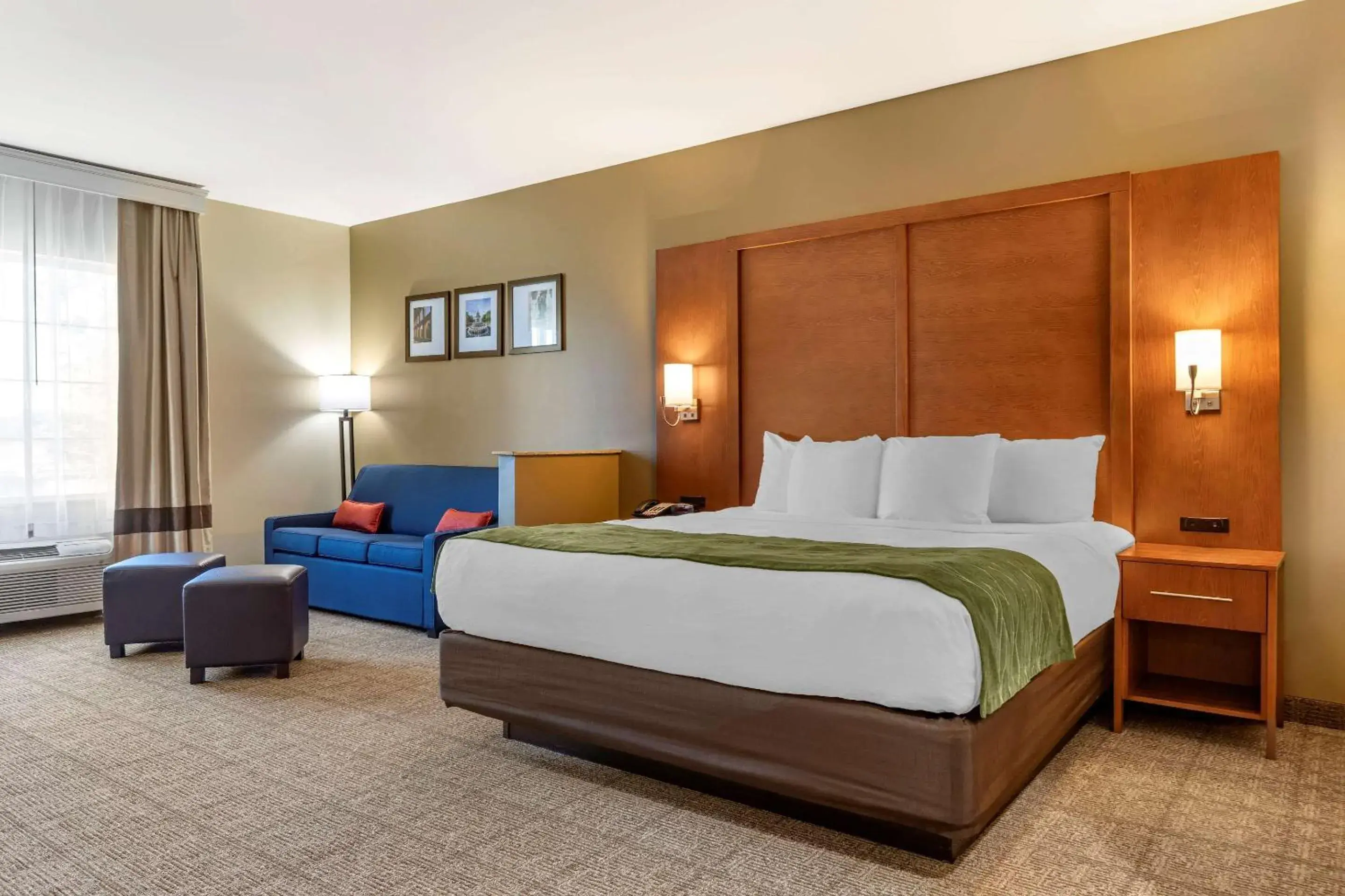 King Suite - Accessible/Non-Smoking in Comfort Inn & Suites Orangeburg King Suite - Accessible/Non-Smoking in Comfort Inn & Suites Orangeburg