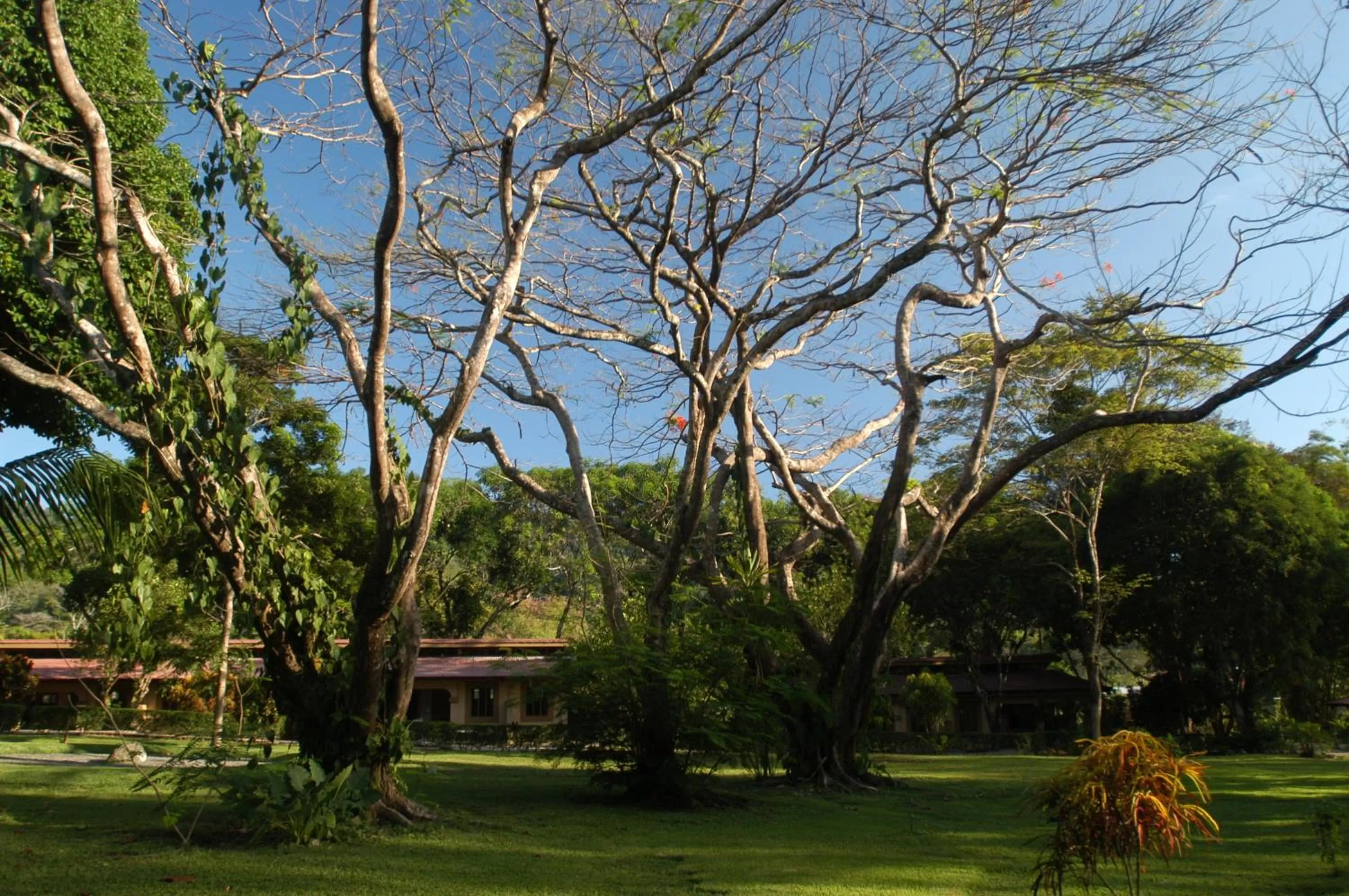Day in Jaco Hotel DoceLunas