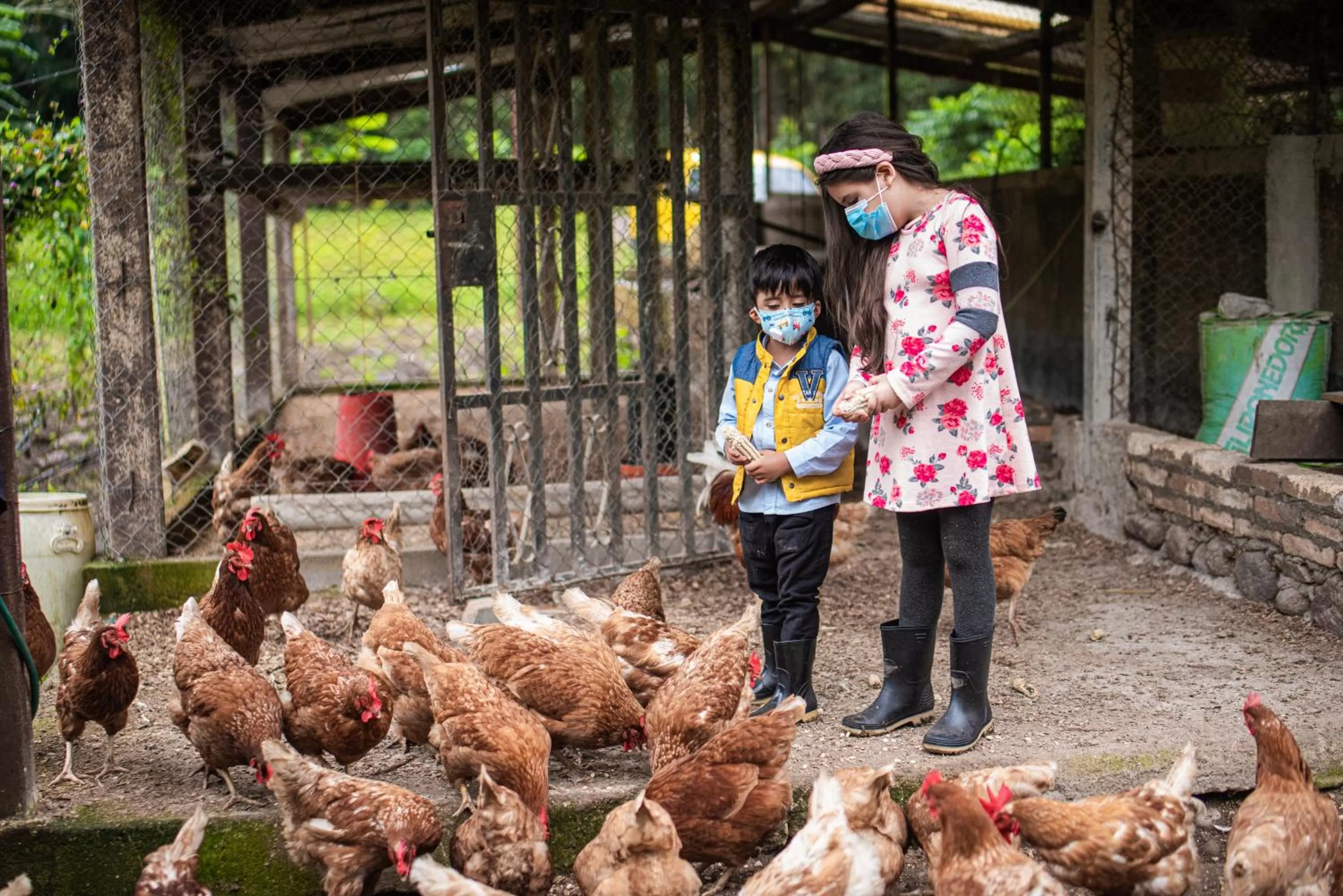 Entertainment, Children in Hotel de Campo Villa de Ada