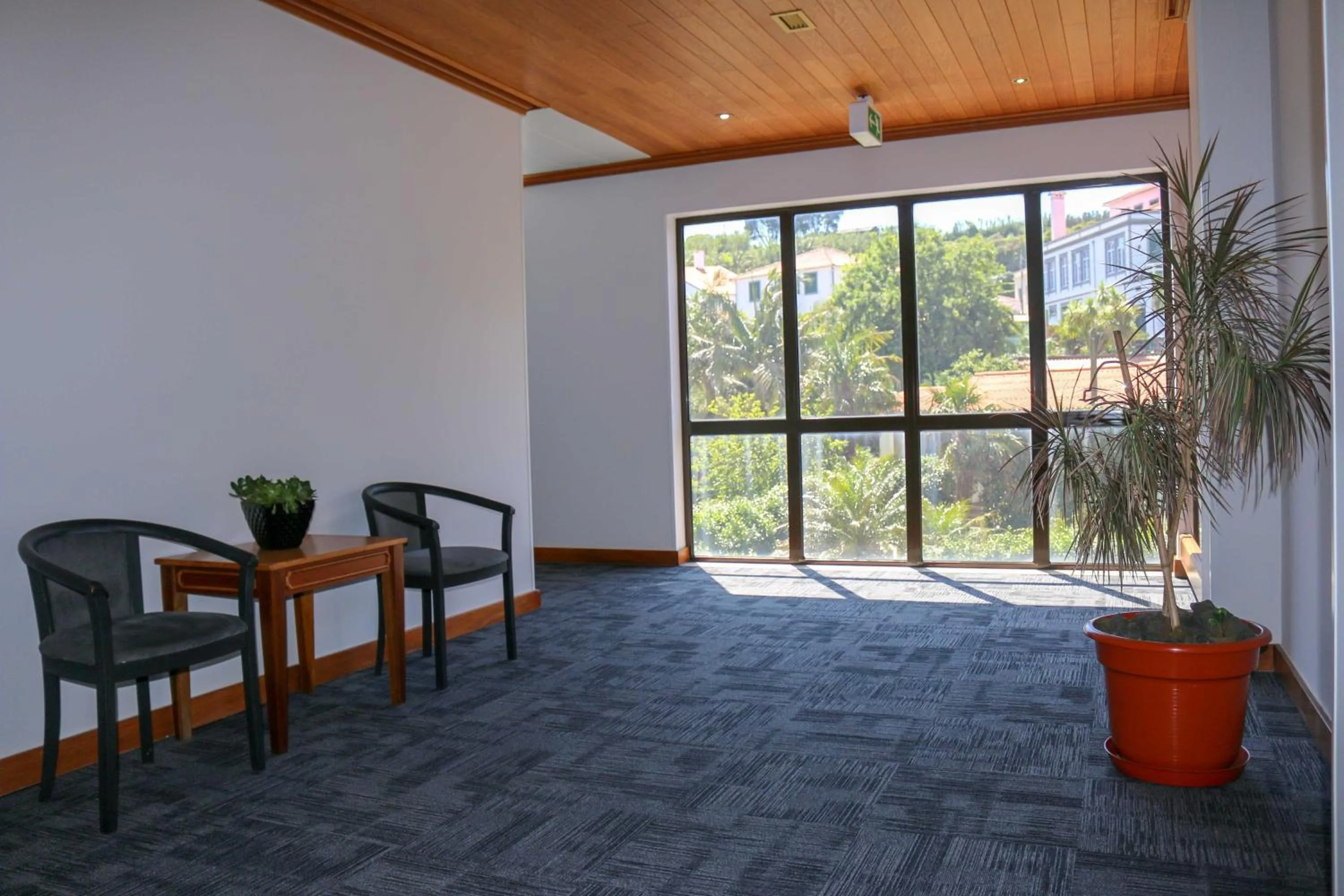 Area and facilities in Hotel Horta