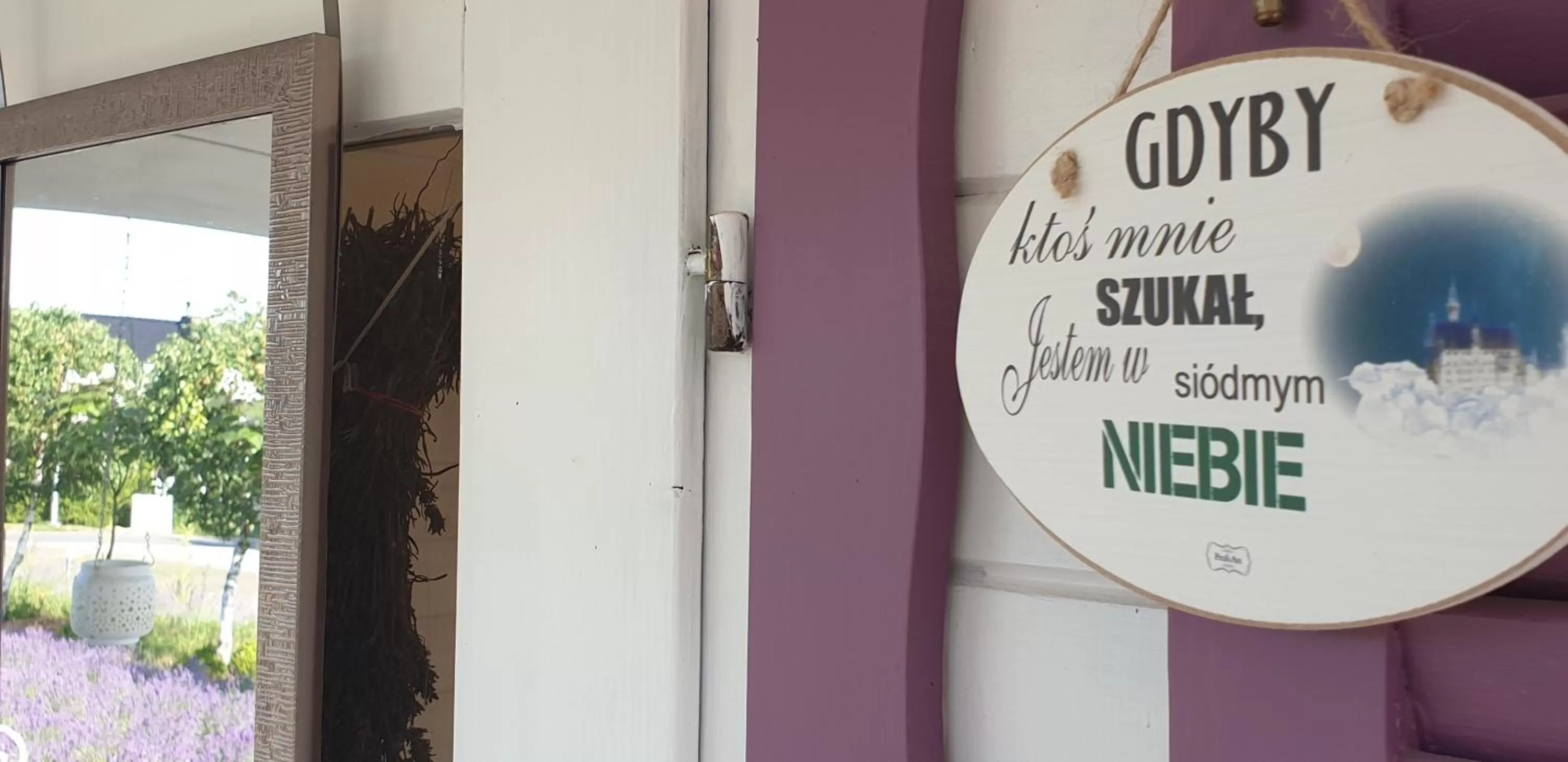 Natural landscape in Noclegi Biała Róża