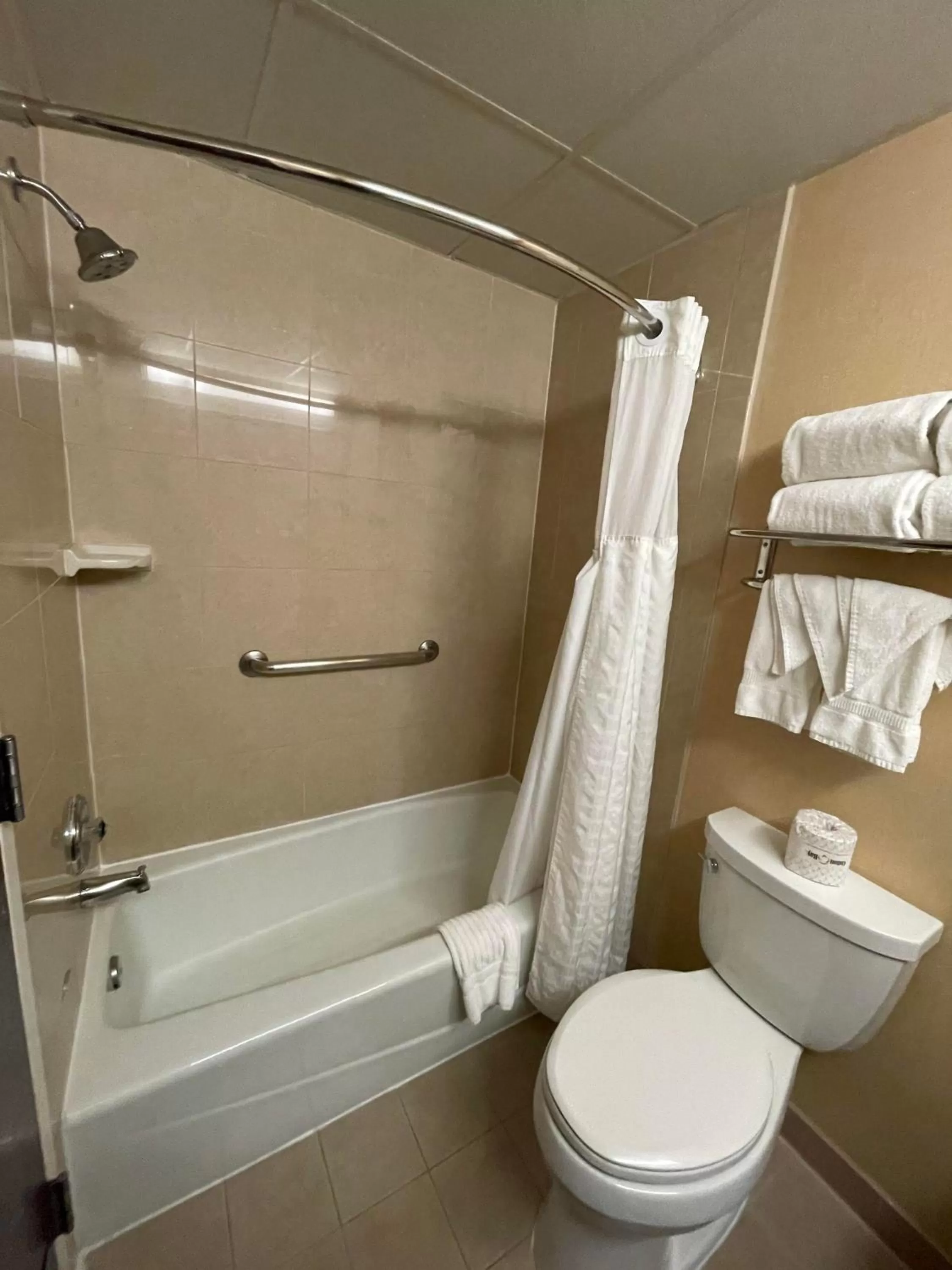Bathroom in Comfort Inn Ballston