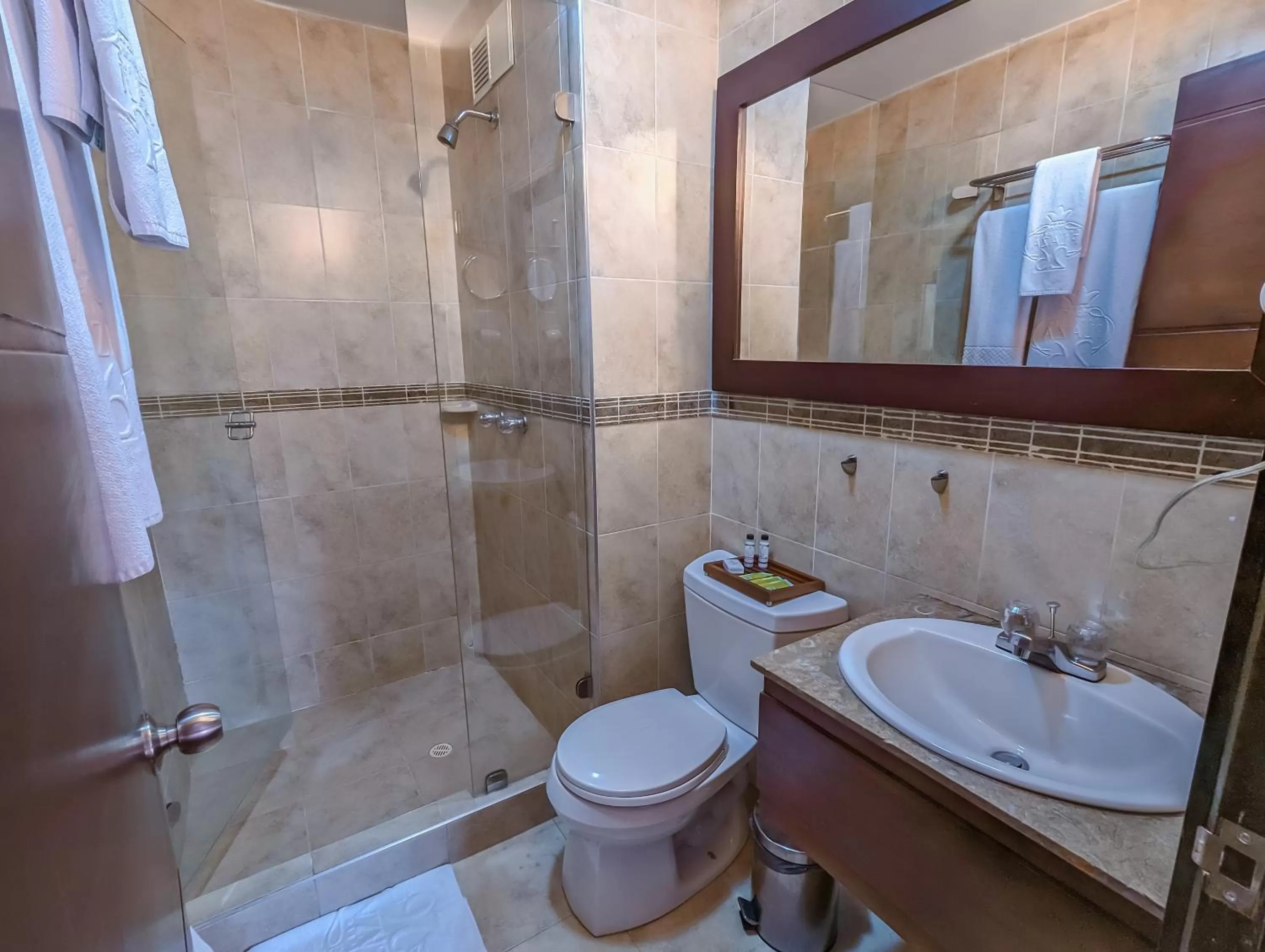 Shower in Hotel Charlotte Suite 26