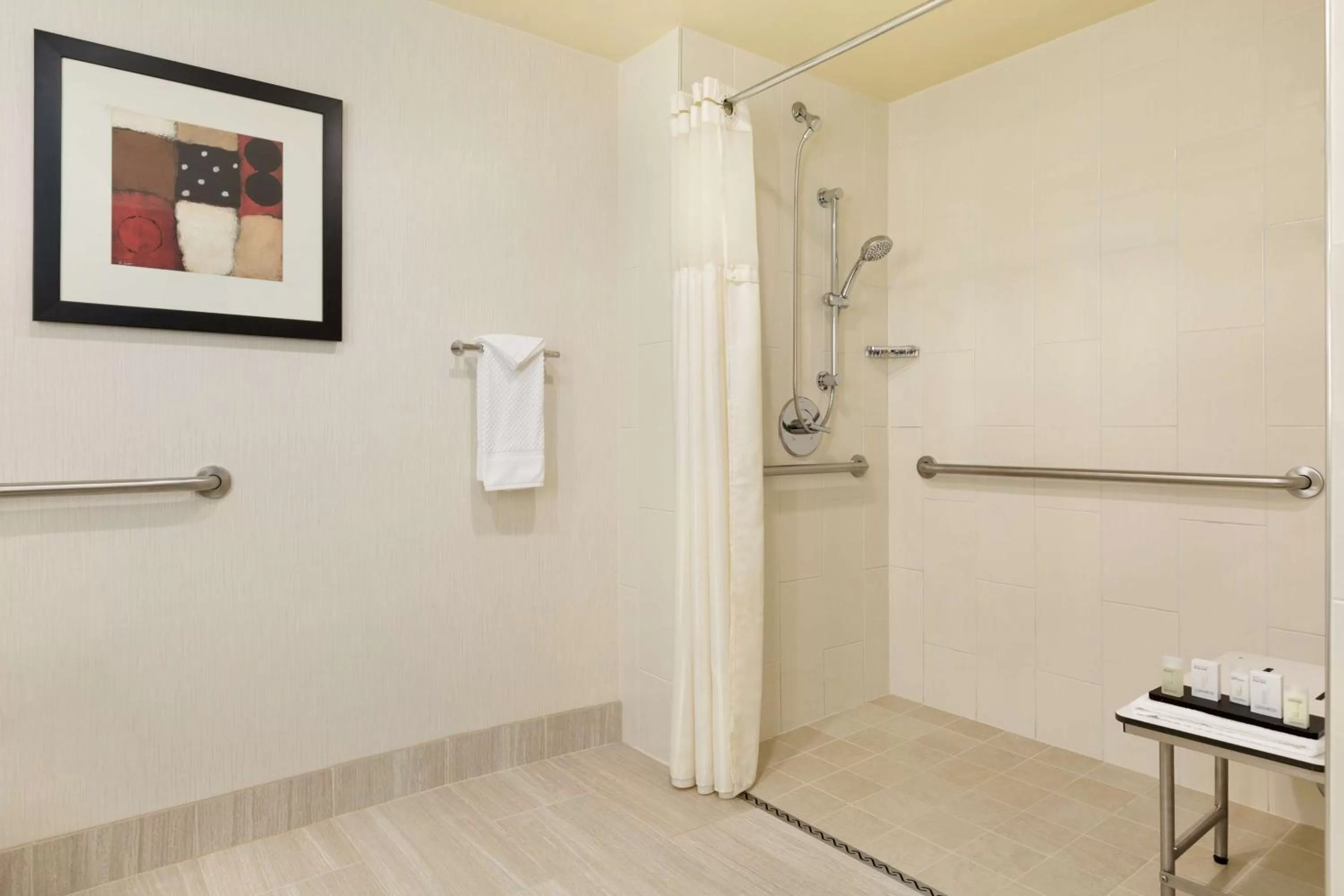 Shower in Embassy Suites by Hilton Chicago North Shore Deerfield