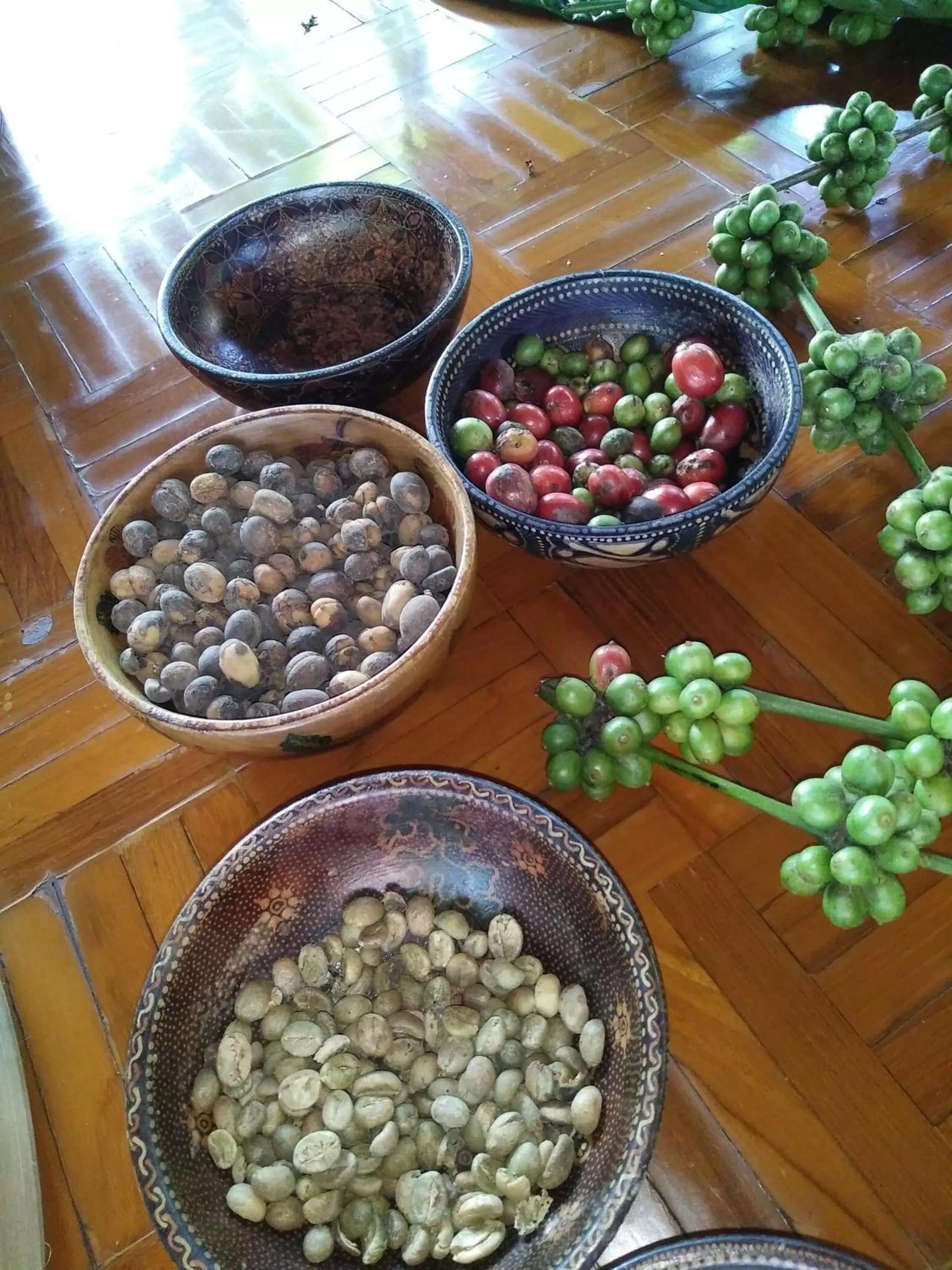 Activities in Shanti Natural Panorama View Hotel