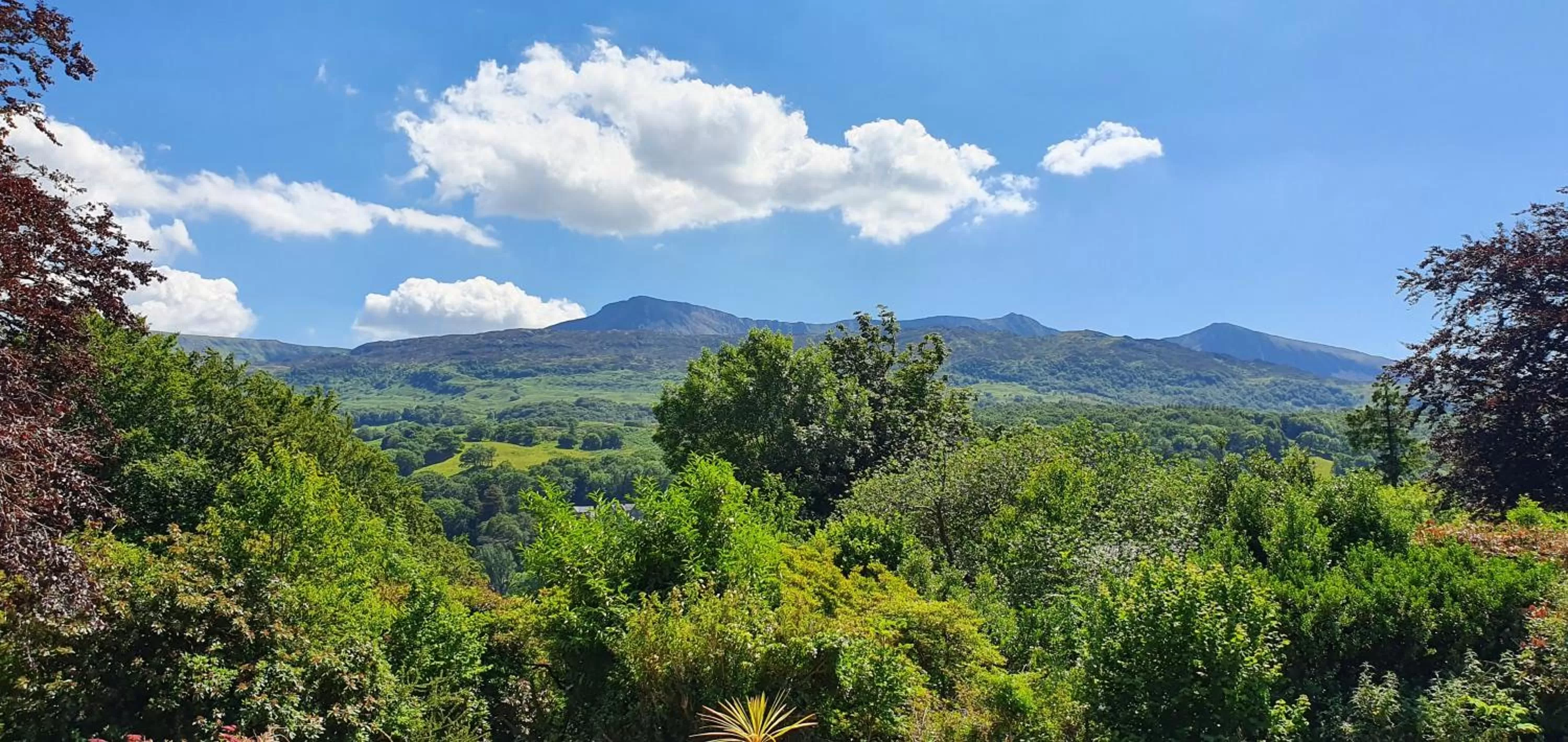 View (from property/room), Mountain View in Cader Suite plus Luxury Hot Tub