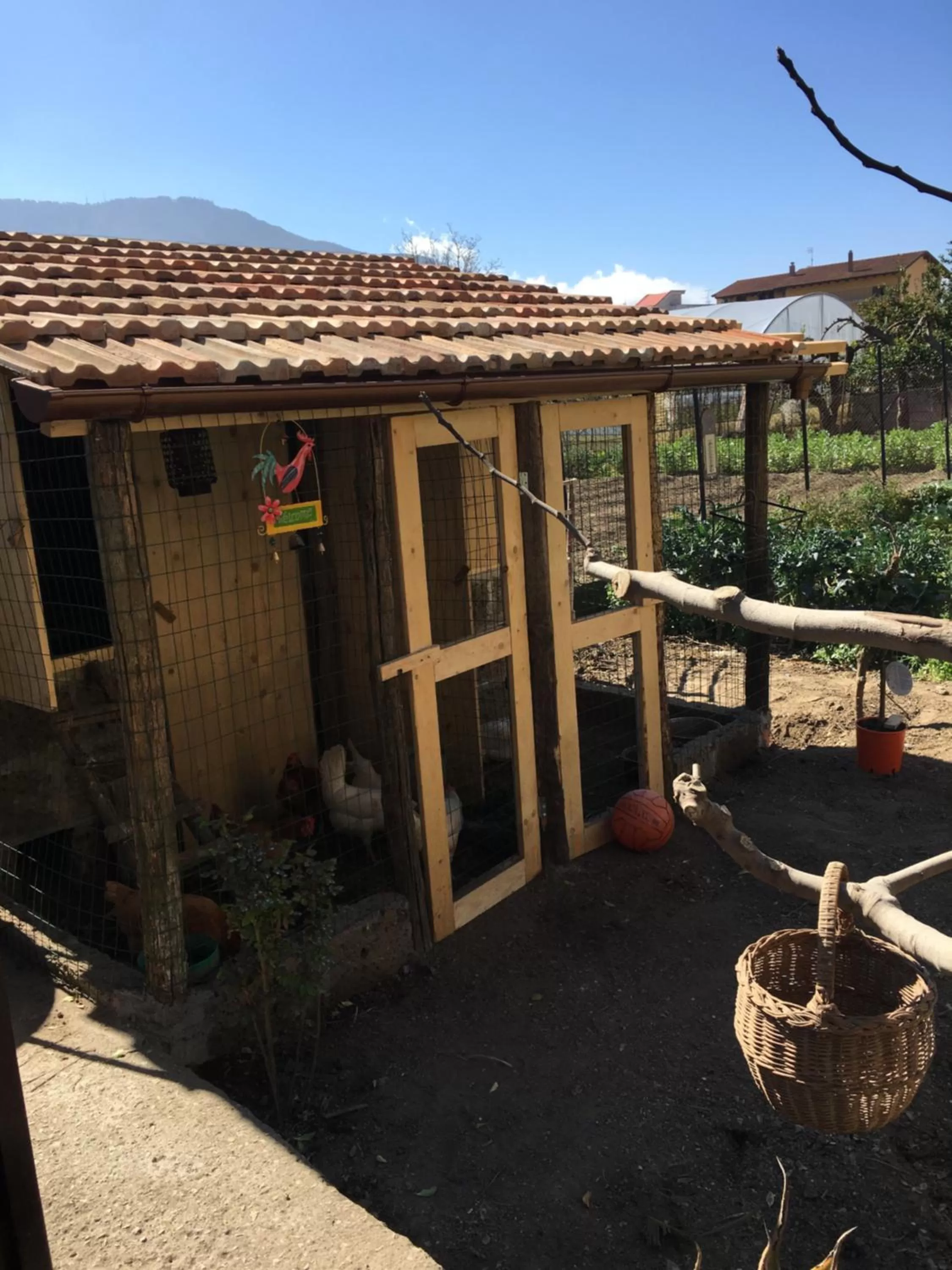Patio in Buonocore Rooms