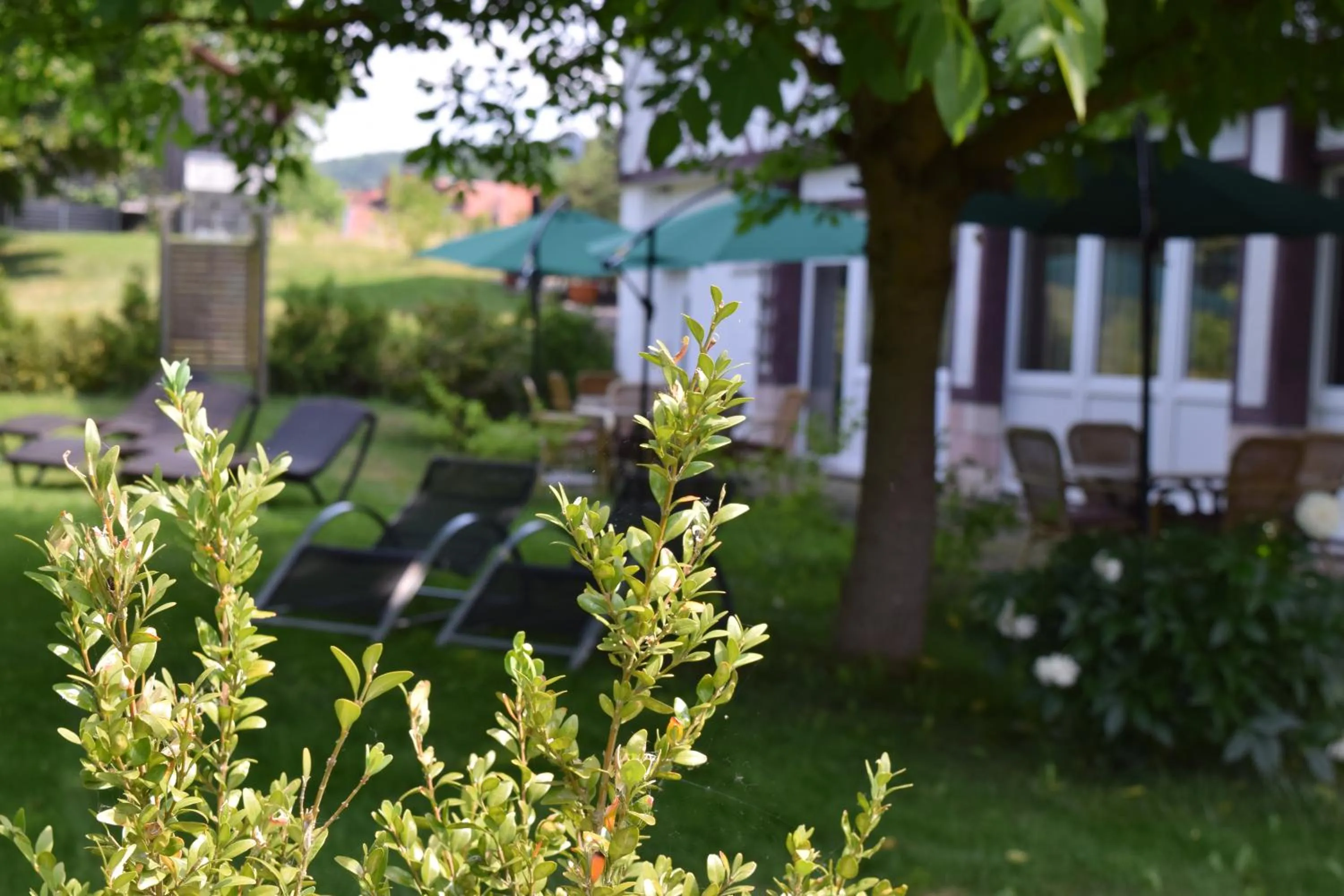 Property building in Landhotel Weisses Ross garni