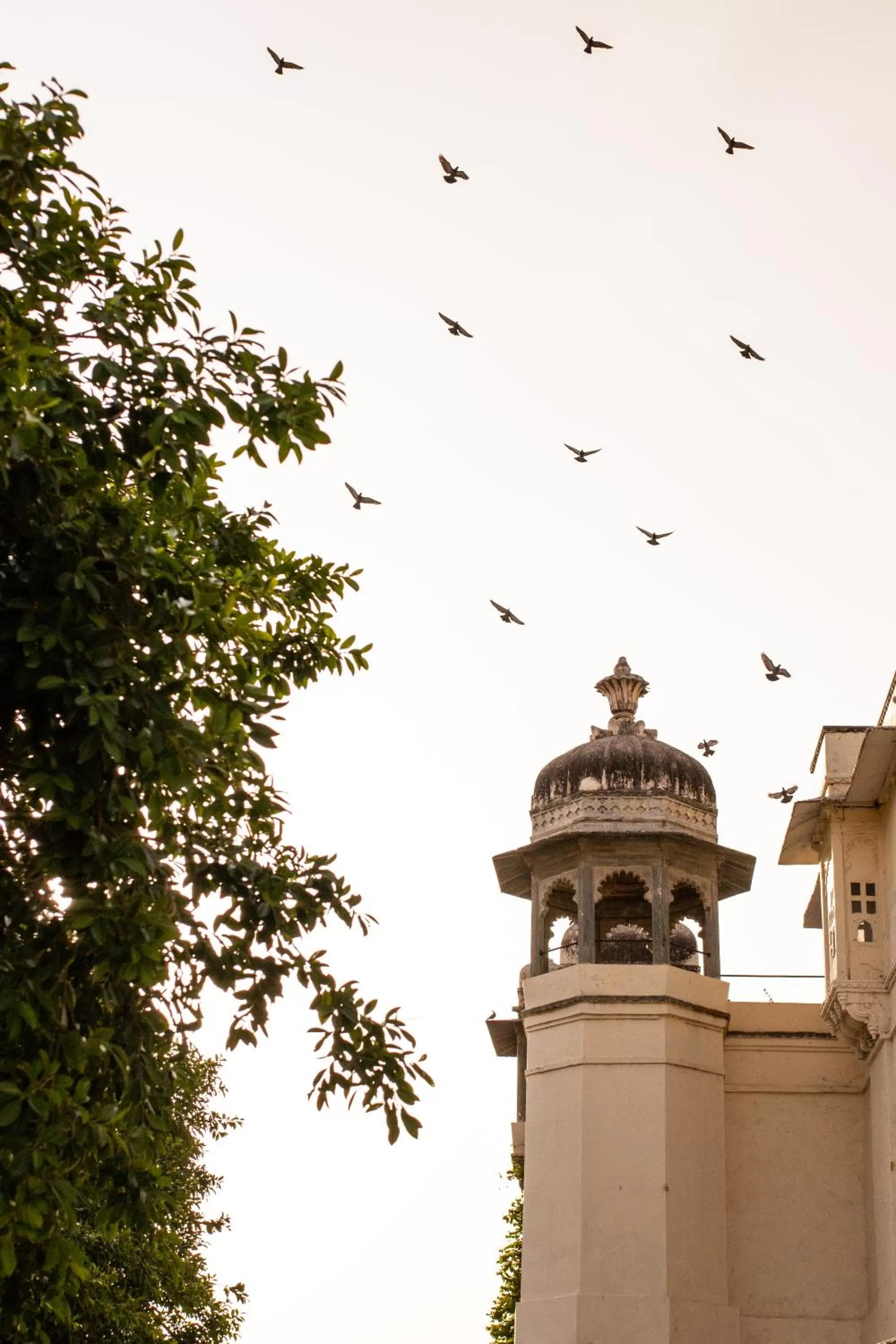 View (from property/room) in RAAS Devigarh
