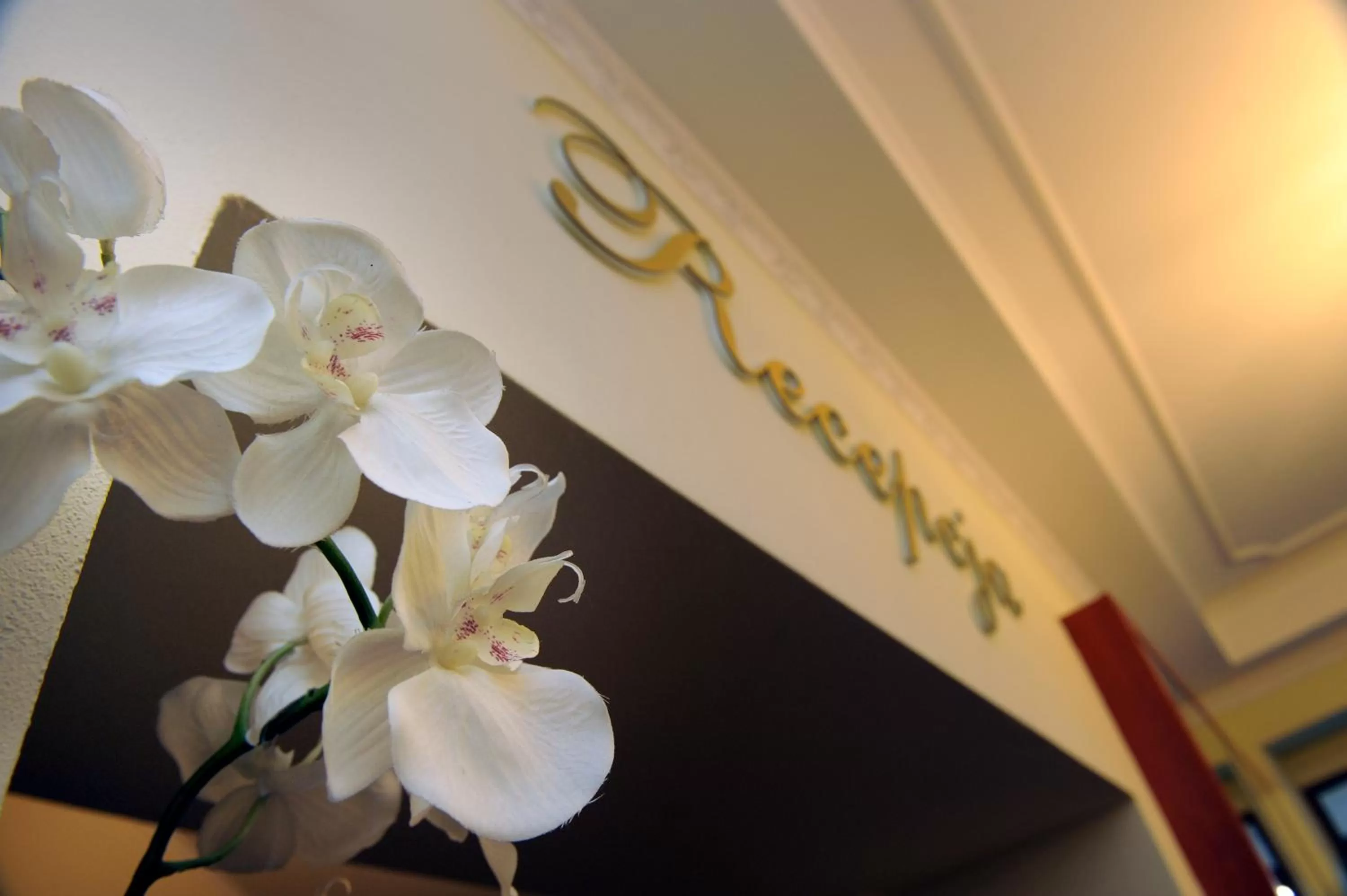 Property logo or sign in Restauracja Hotel Imperial