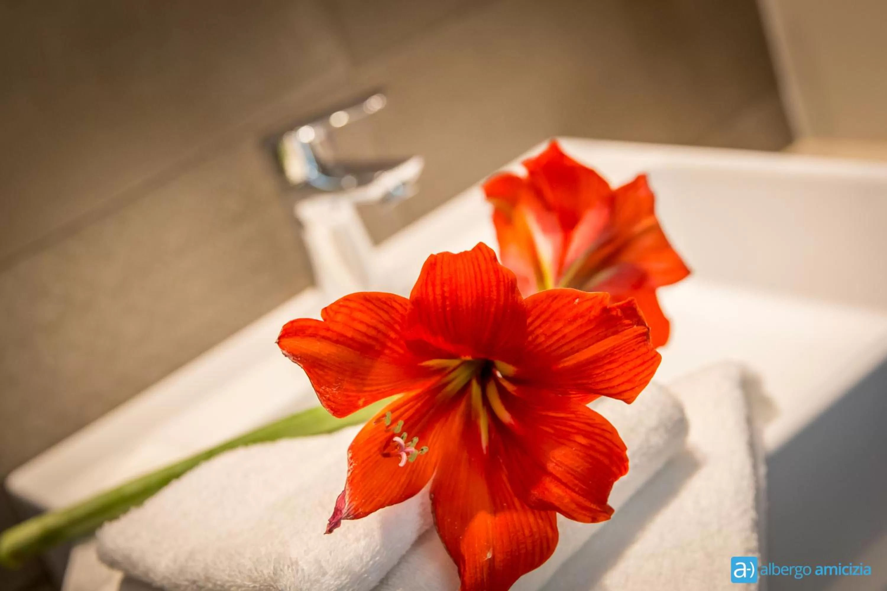 Decorative detail in Hotel Amicizia