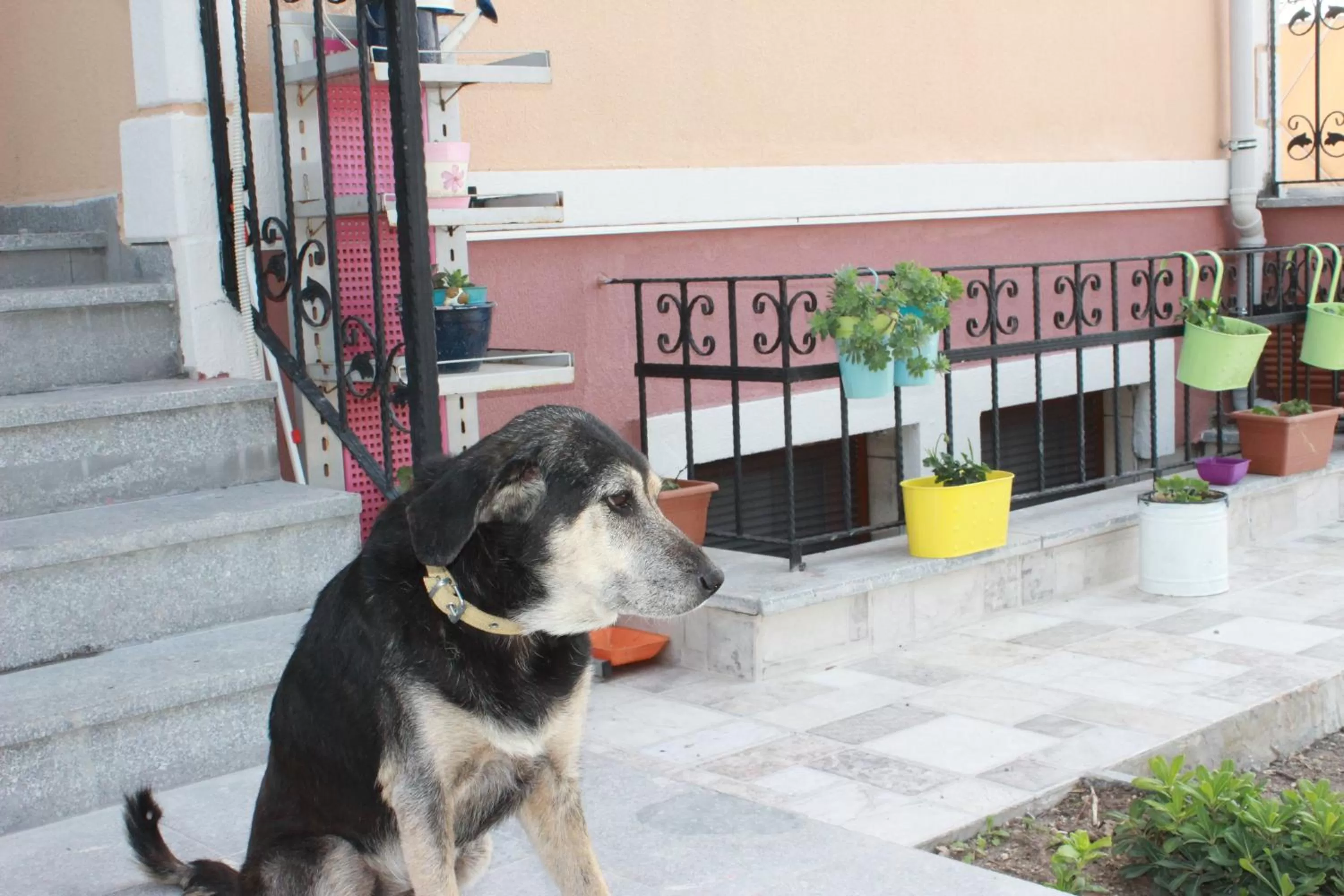Facade/entrance in Ede Apart Otel