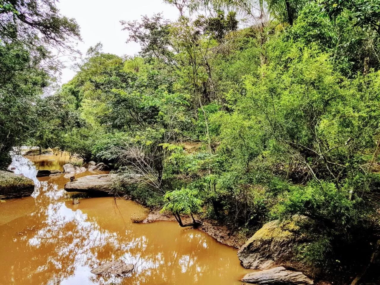 Natural landscape in Pousada Santa Thereza