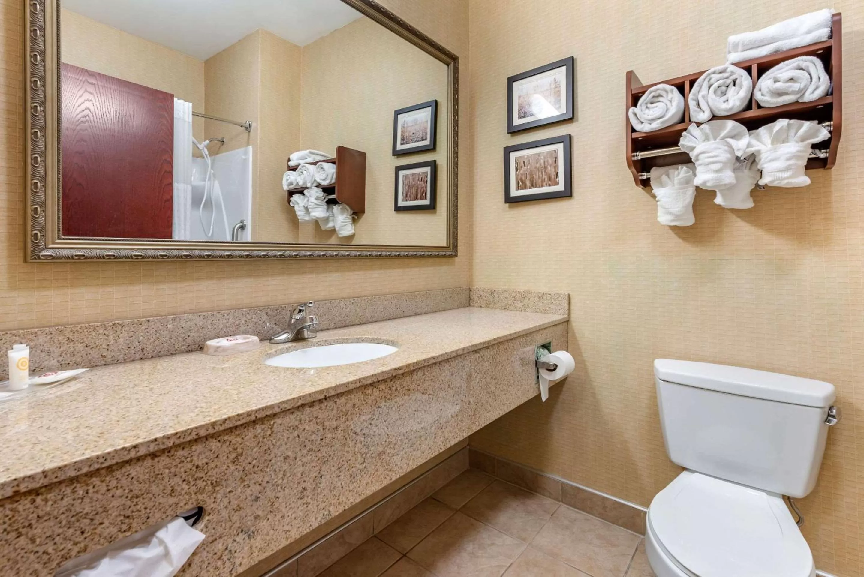 Bathroom in Comfort Suites Elkhart South