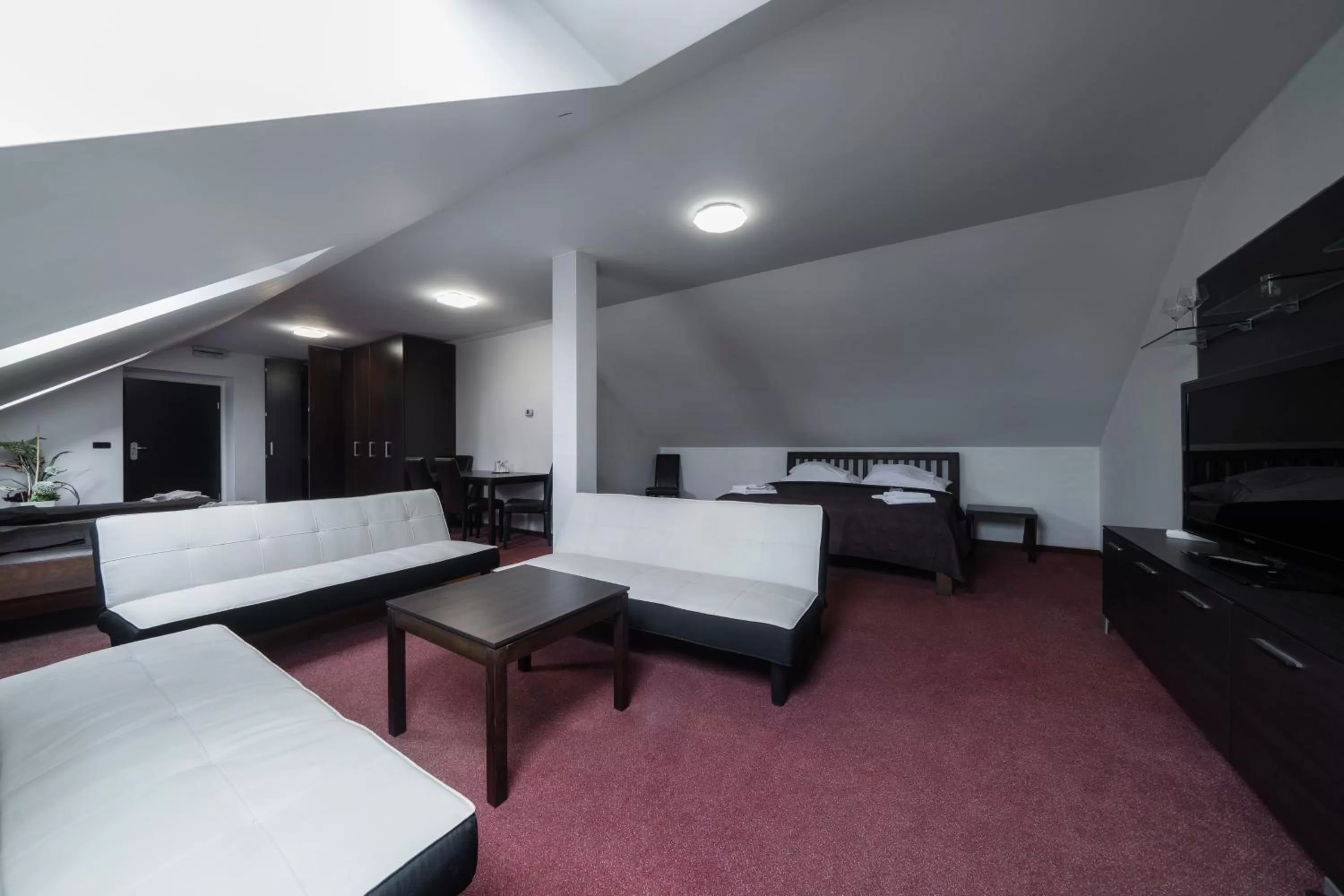 TV and multimedia in Hotel Astory Plzeň