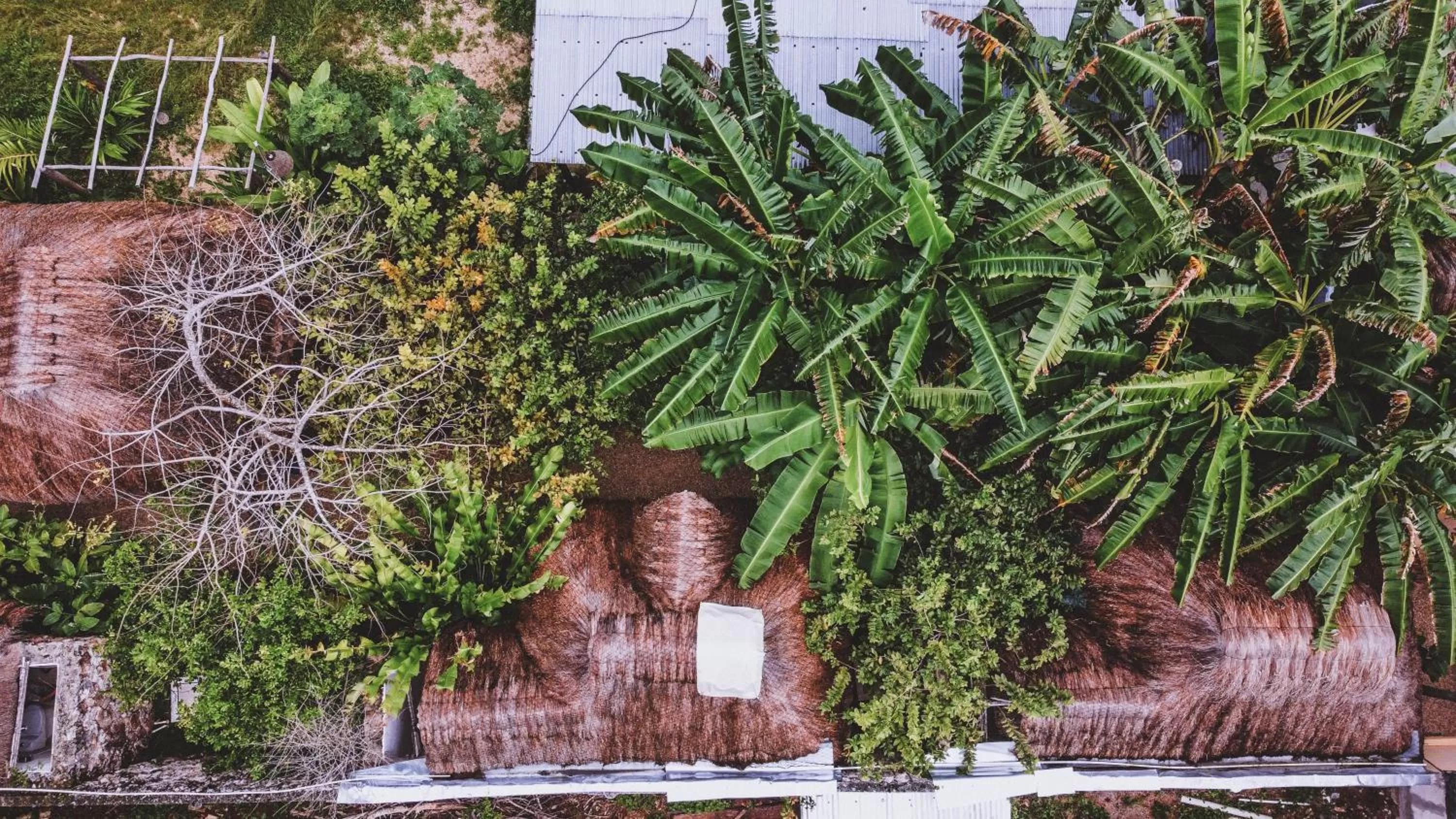 Bird's eye view in Aldea Che-eek