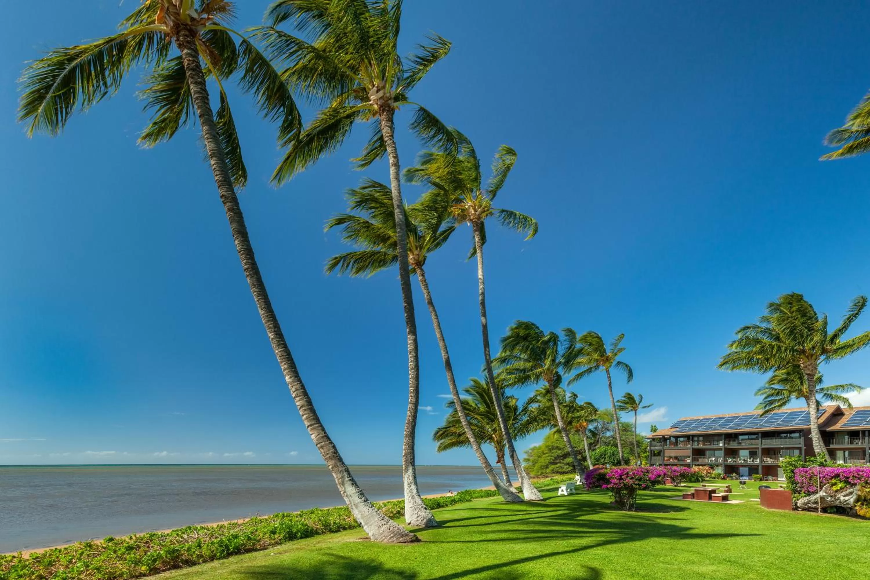 Beach in Castle at Moloka'i Shores