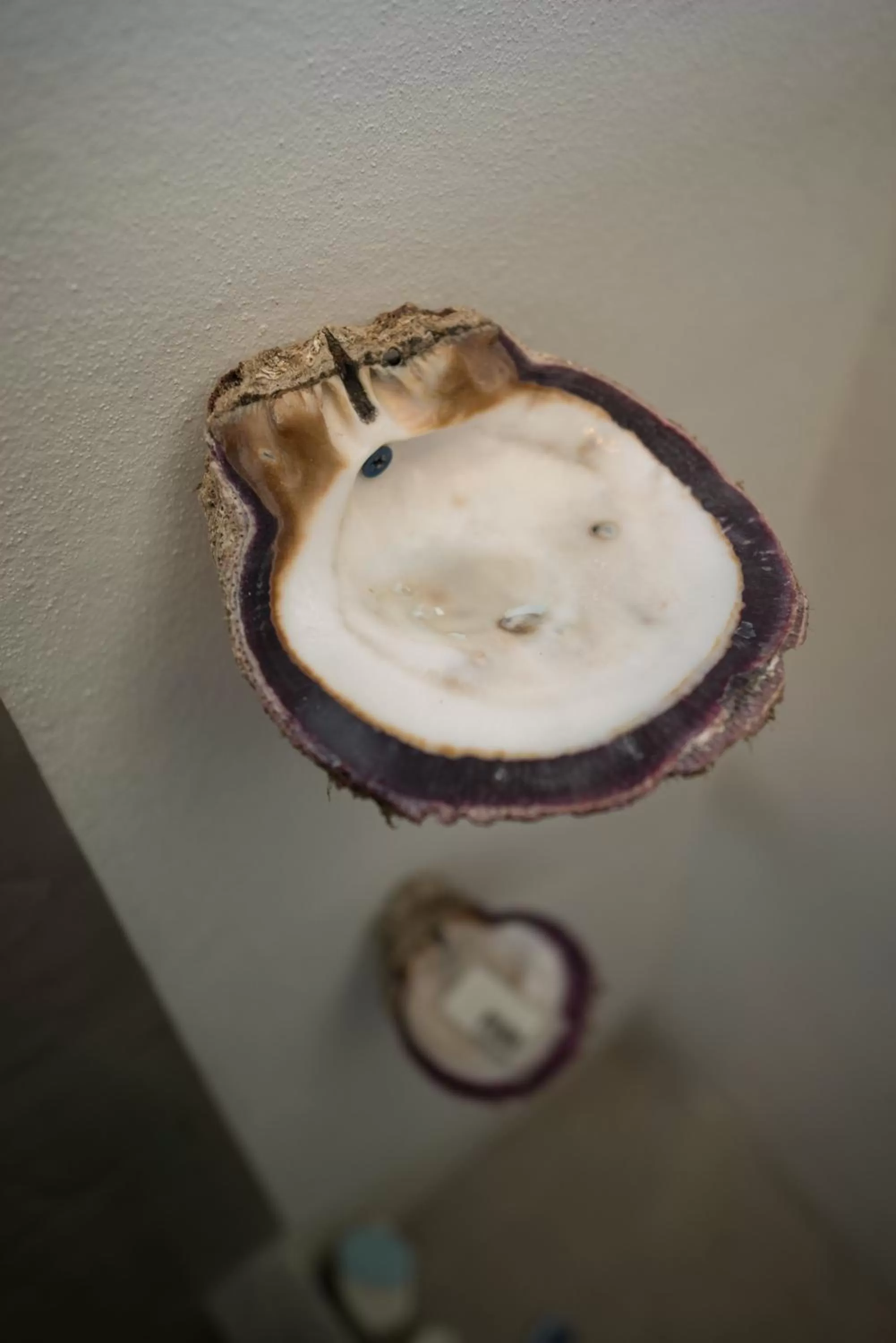 Decorative detail, Food in Tamarindo Sunshine