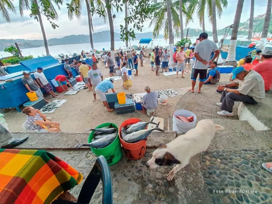 People in Ceiba Studios