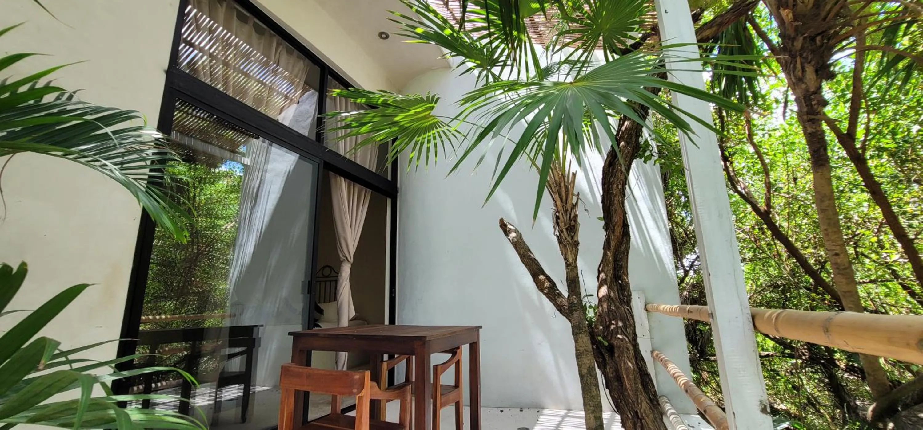 Natural landscape in Casa Ambar Hotel & Boutique Tulum