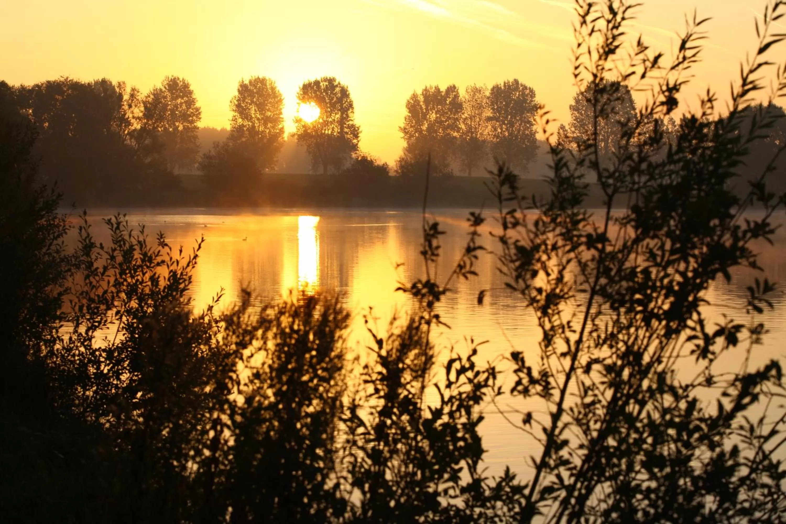 Lake view in Best Western Hotel du Lac Dunkerque- Restaurant ouvert 7/7 midi et soir