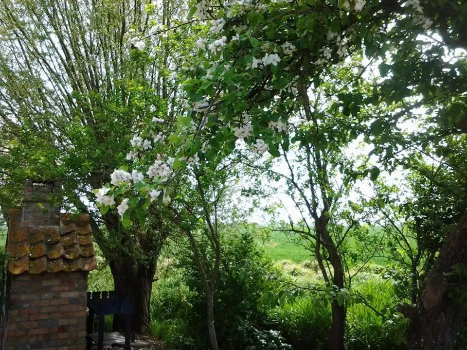 B&B Het Schaliënhof