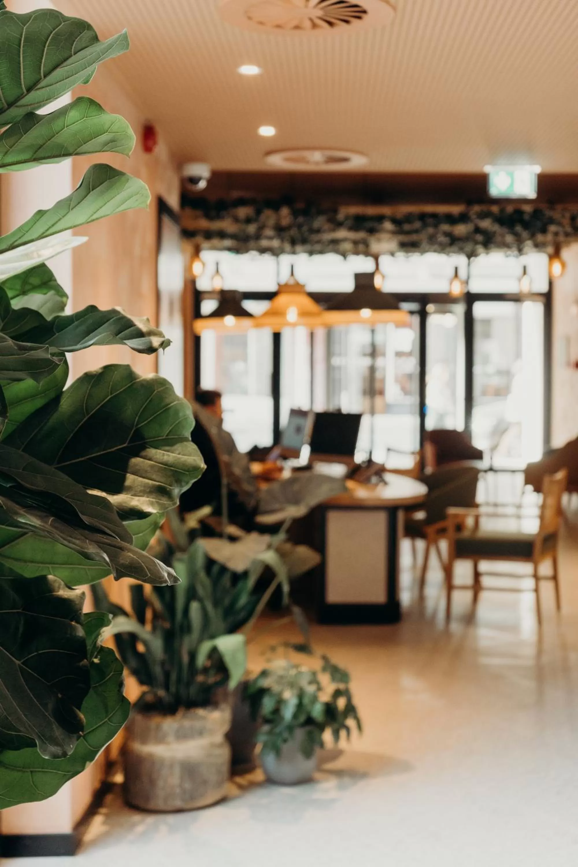 Lobby or reception in The Editory Garden Porto Hotel